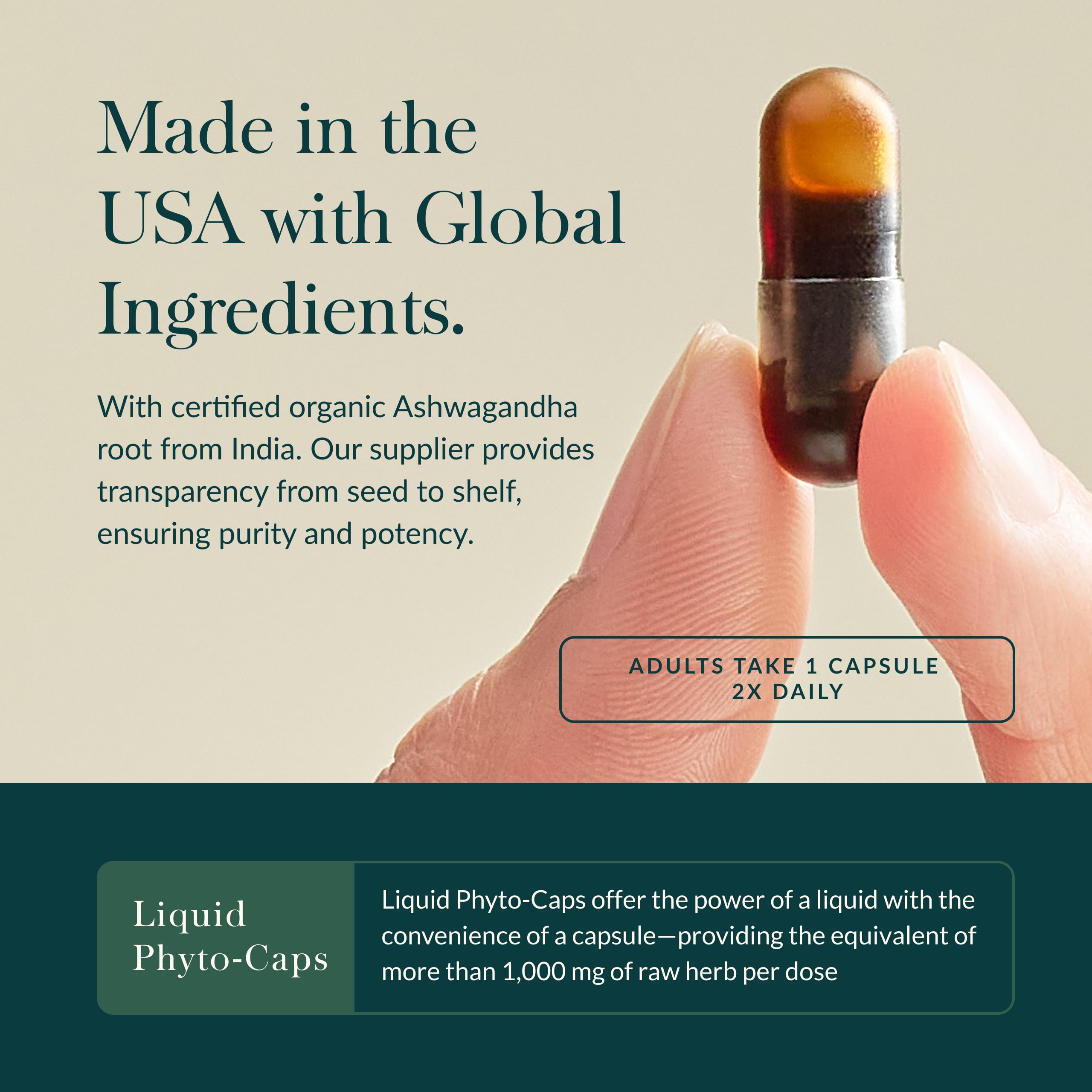 Gaia Herbs Ashwagandha Root - Stress Relief & Sleep Support* - 120 Vegan Liquid Phyto-Caps & Thyroid Support - Support Healthy Metabolic Balance & Overall Well-Being* - 120 Vegan Liquid Phyto - Image 5