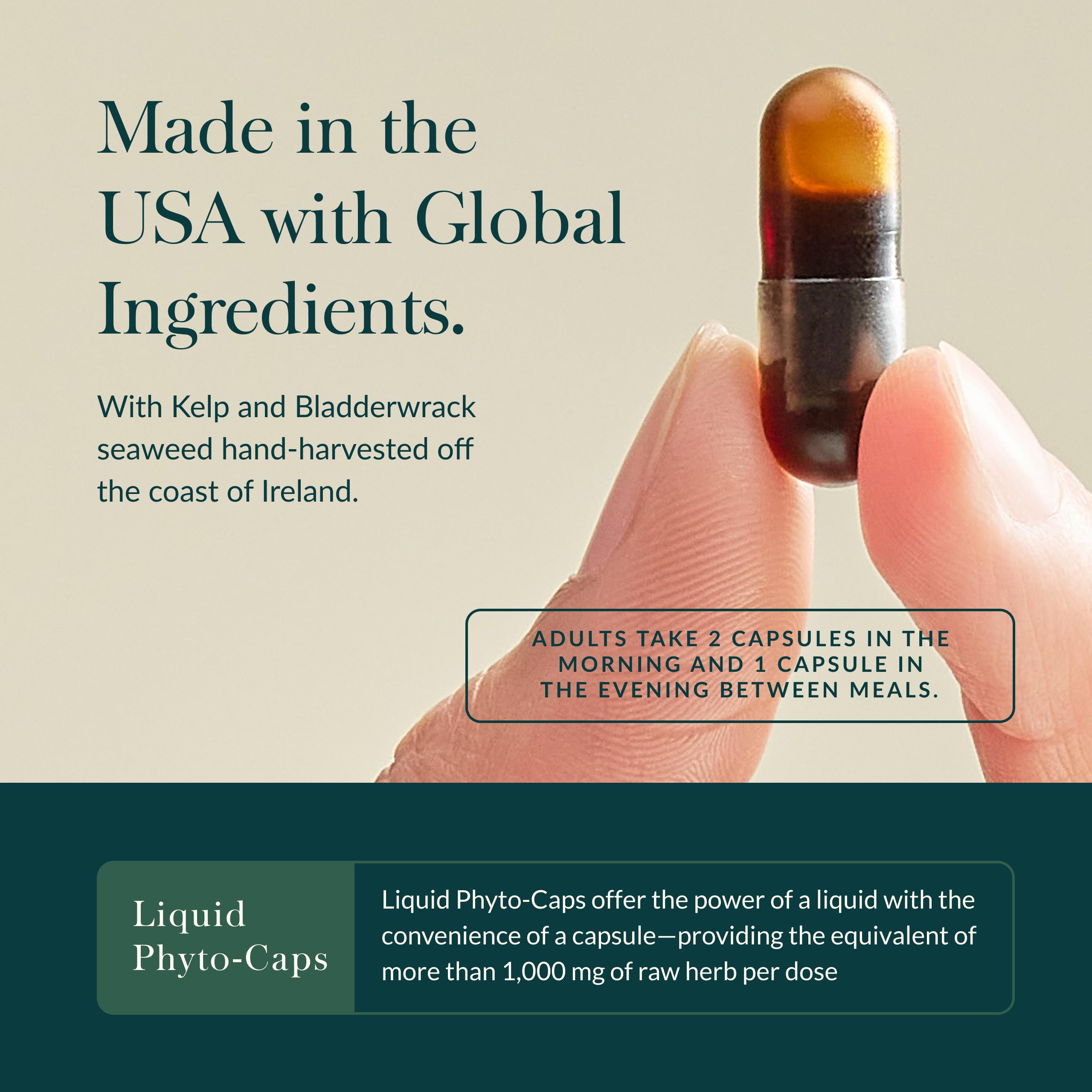 Gaia Herbs Ashwagandha Root - Stress Relief & Sleep Support* - 120 Vegan Liquid Phyto-Caps & Thyroid Support - Support Healthy Metabolic Balance & Overall Well-Being* - 120 Vegan Liquid Phyto - Image 8