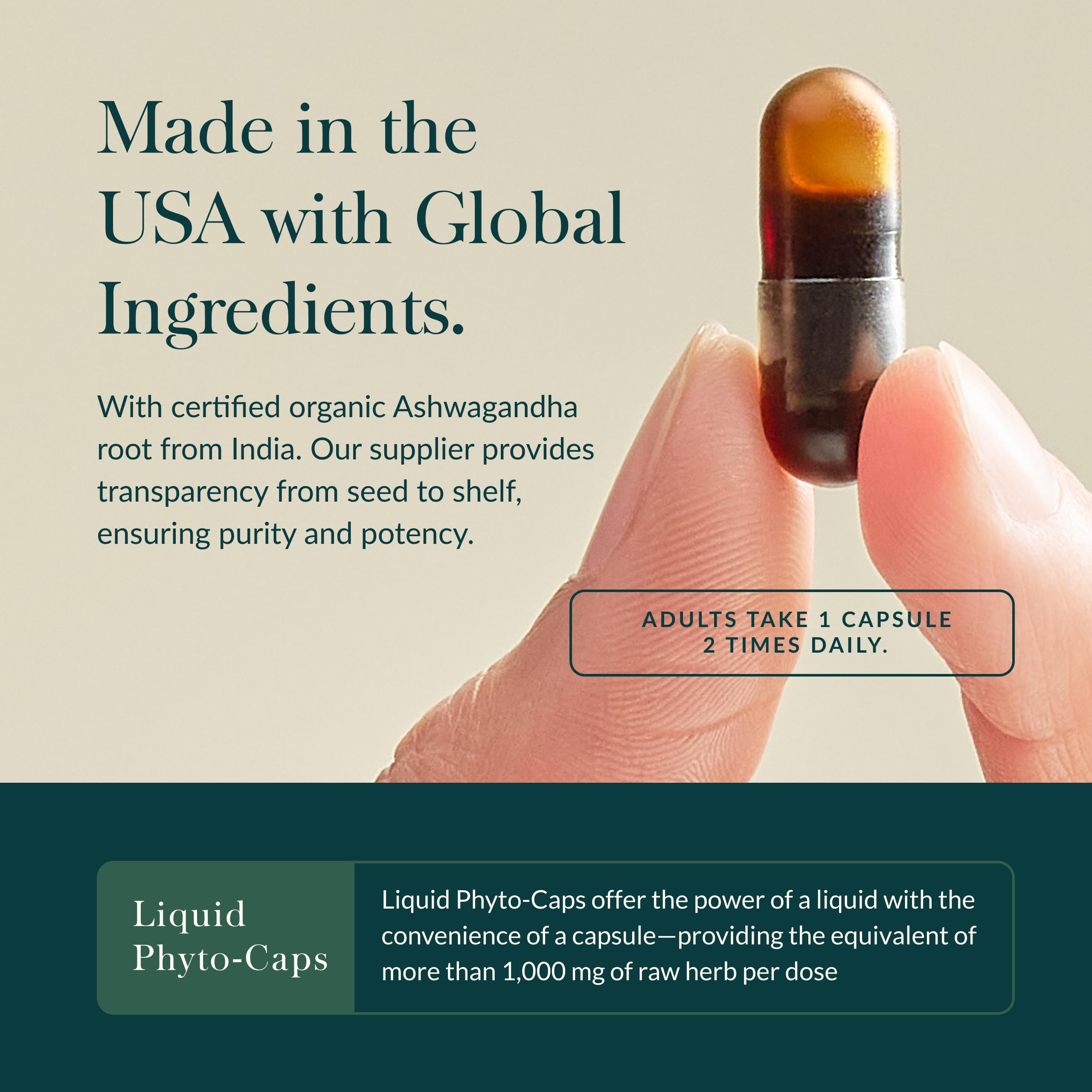 Gaia Herbs Ashwagandha Root - Stress Relief & Sleep Support Supplement - Supports Balanced Energy Levels & Positive Outlook* - 60 Vegan Liquid Phyto-Caps (30 Servings) - Image 4