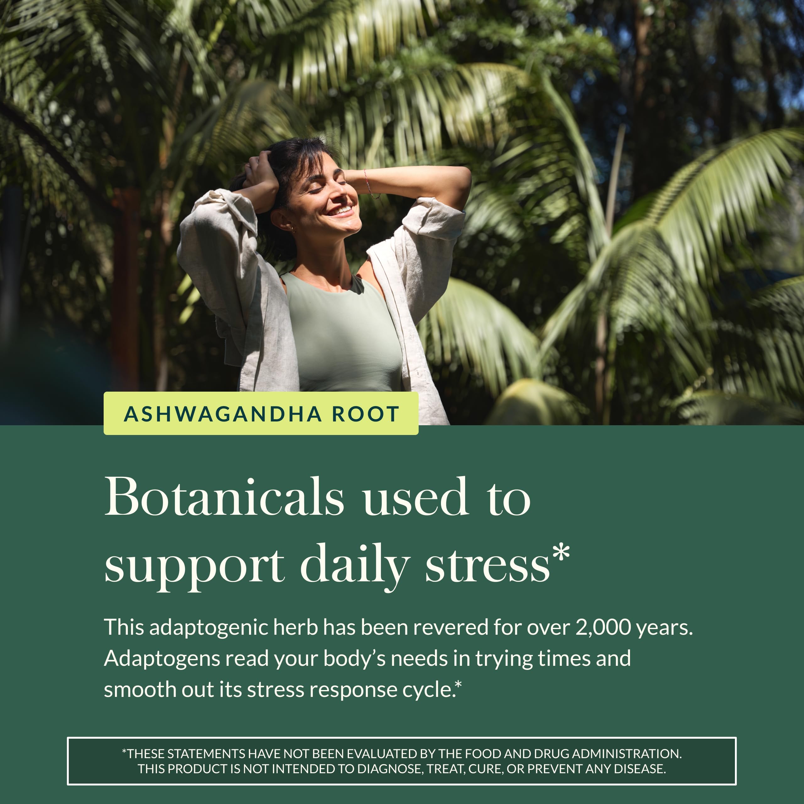 Gaia Herbs Ashwagandha Root - Stress Relief & Sleep Support Supplement - Supports Balanced Energy Levels & Positive Outlook* - 60 Vegan Liquid Phyto-Caps (30 Servings) - Image 5