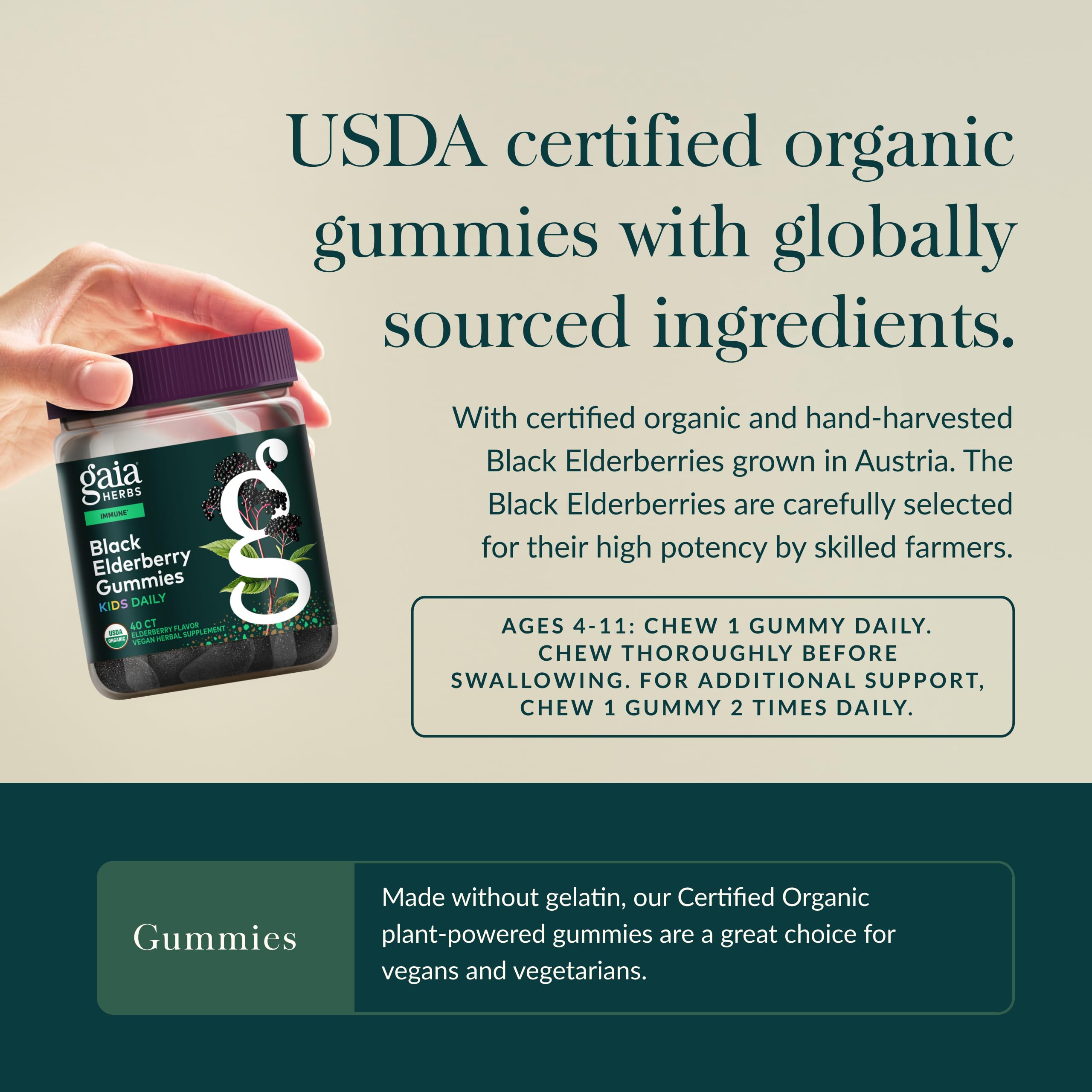 Gaia Herbs Black Elderberry Daily Gummies for Kids - Delicious Immune Support Supplement - Certified Organic Black Elderberries for Immune System Support* - 40 Vegan Gummies (40 Servings) - Image 4
