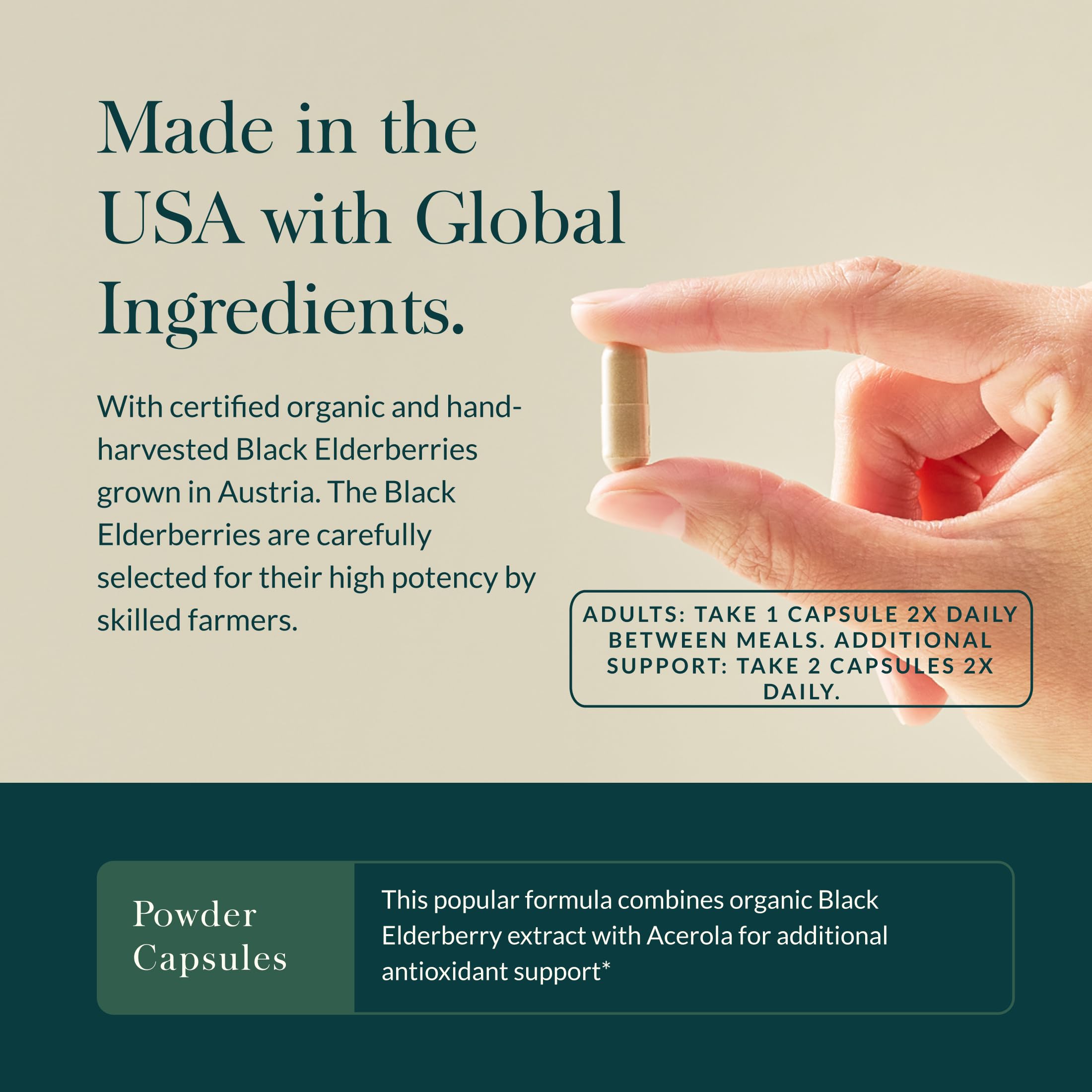 Gaia Herbs Black Elderberry - Daily Immune Support Supplement to Help Support Wellness - with Black Elderberries & Acerola Fruit for Antioxidant Support* - 120 Vegan Capsules (60 Servings) - Image 4