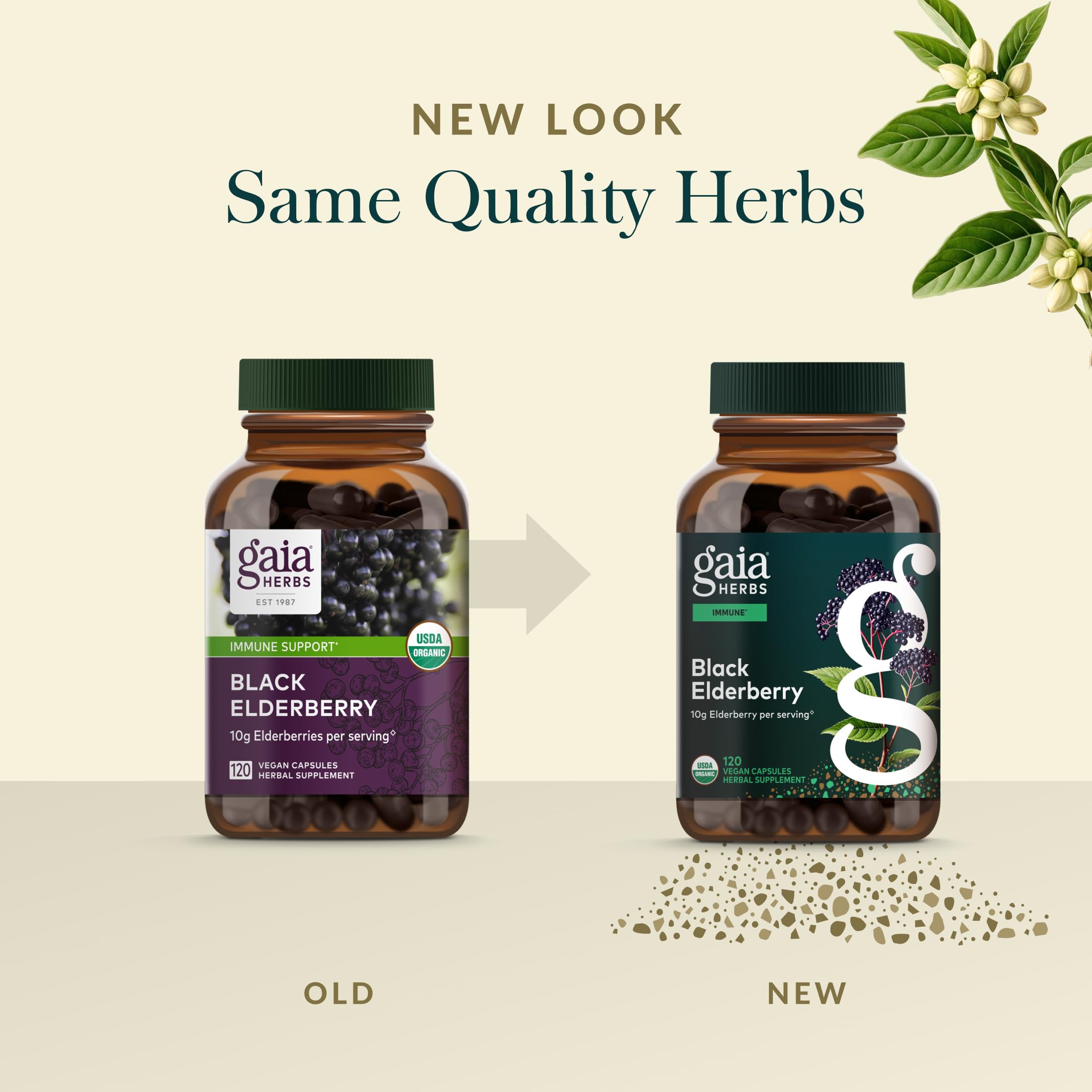 Gaia Herbs Black Elderberry - Daily Immune Support Supplement to Help Support Wellness - with Black Elderberries & Acerola Fruit for Antioxidant Support* - 120 Vegan Capsules (60 Servings) - Image 6