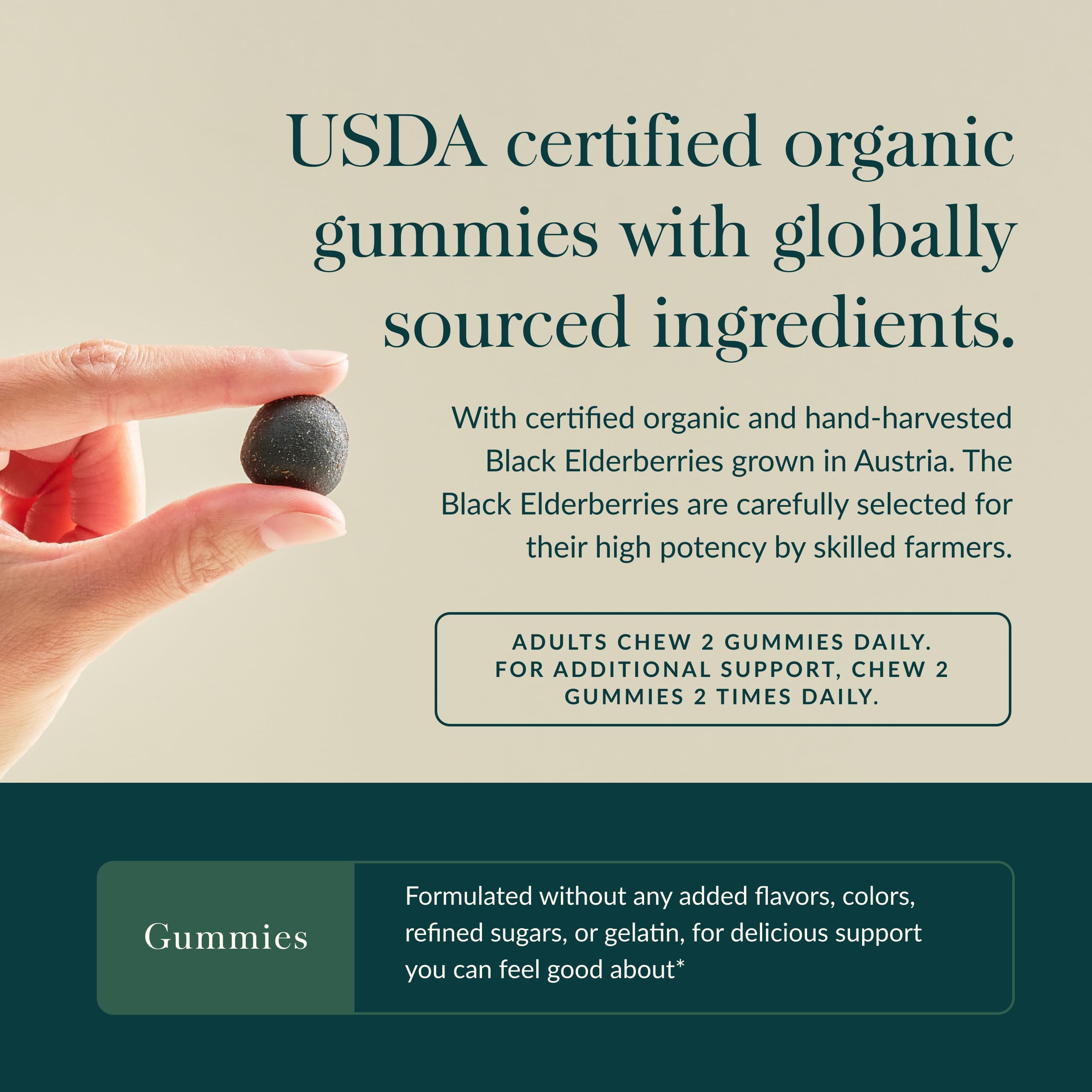 Gaia Herbs Black Elderberry (Sambucus nigra) Extra Strength Gummies - Delicious Immune Support Supplement* - Certified Organic Black Elderberries for Immune System Support* - 80 Gummies (40 Servings) - Image 4