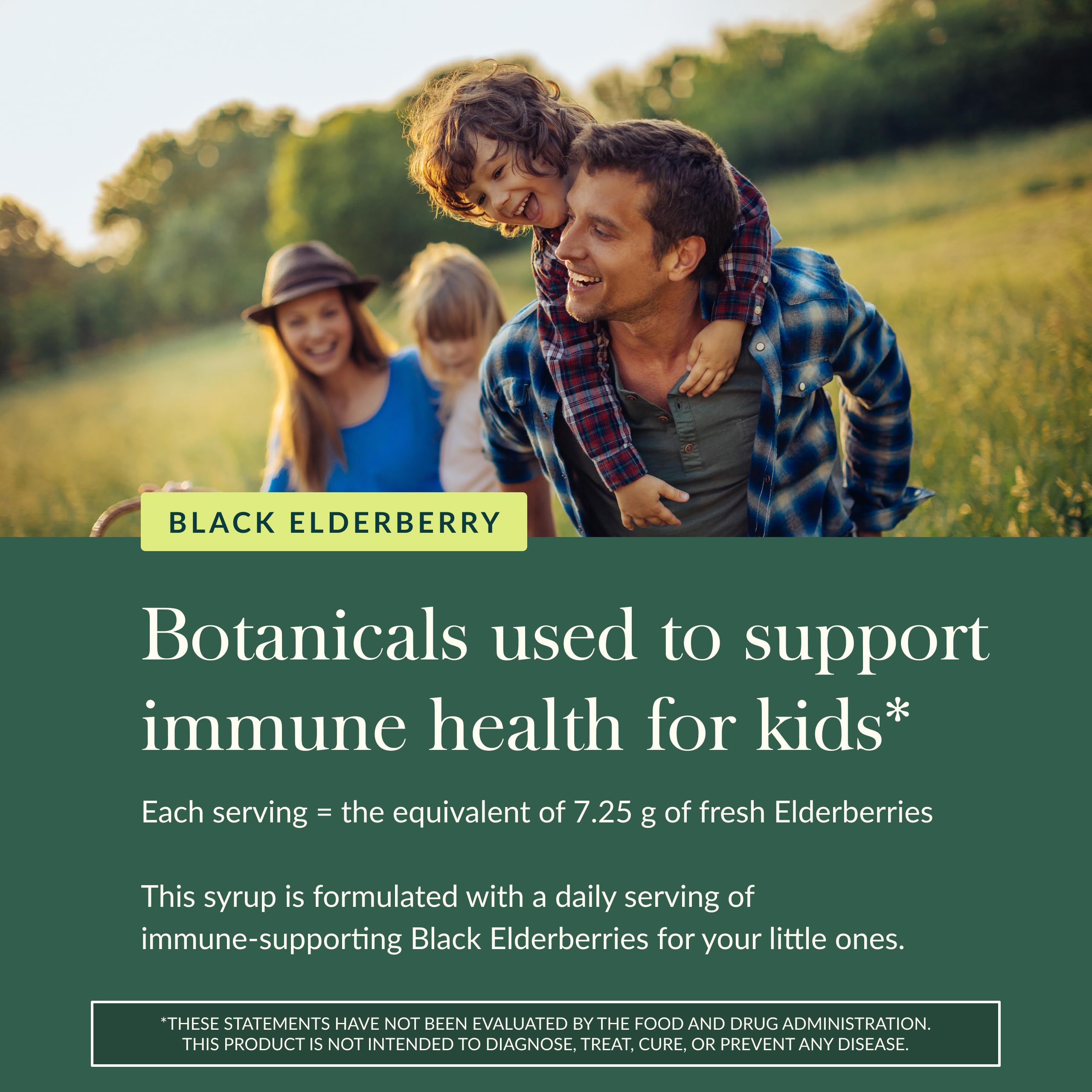 Gaia Herbs Black Elderberry Syrup Kids Daily - Delicious Immune Support Supplement for Kids* - Organic Black Elderberries & Honey - USDA Certified Organic Syrup - 3 Fl Oz (About 18 to 26 Servings) - Image 5