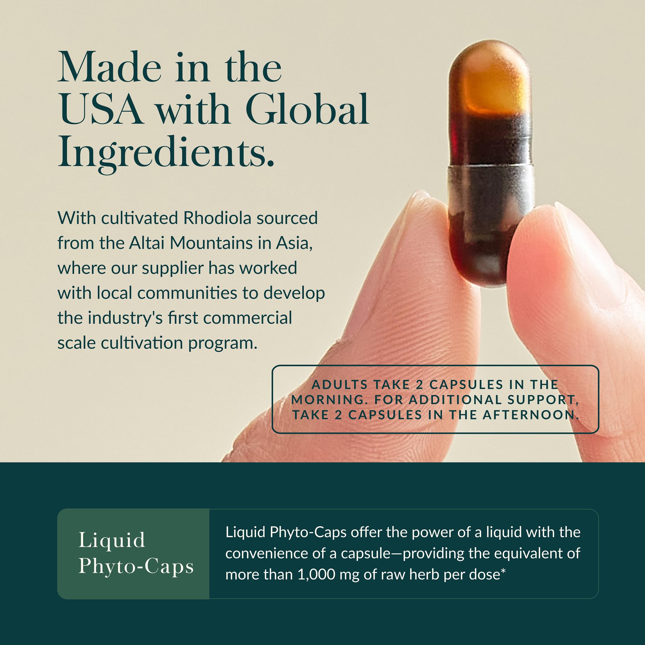 Gaia Herbs Adrenal Health Daily Support - Herbal Supplement with Ashwagandha, Holy Basil & Schisandra - Help Maintain Healthy Energy & Stress Levels* - 60 Vegan Liquid Phyto-Caps (30 Servings) - Image 4