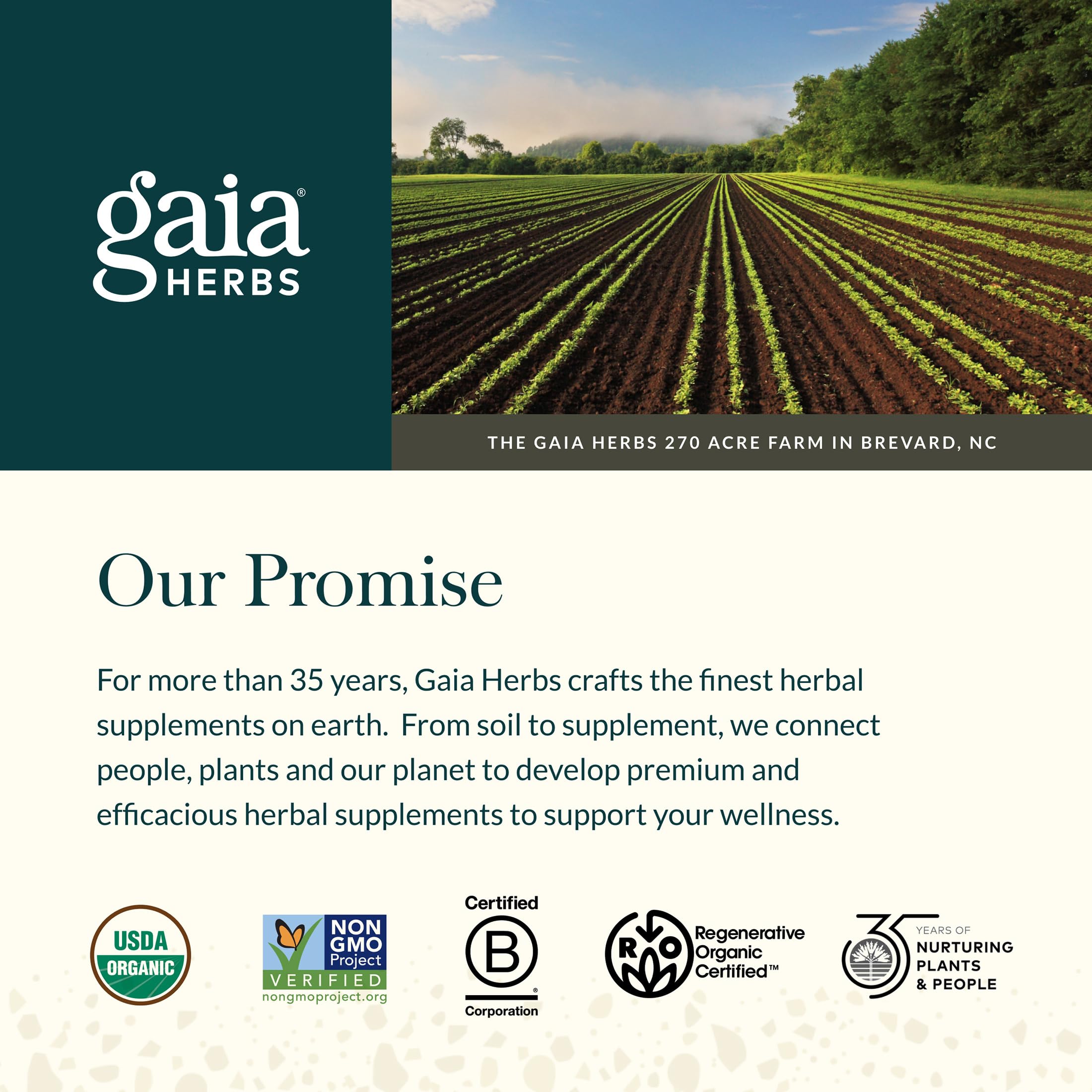 Gaia Herbs Cough Syrup - Helps Soothe an Occasional Dry Cough* - with Honey, Pelargonium, Ivy Leaf, Black Elderberry & More - 4 Fl Oz (24 Servings) - Image 7