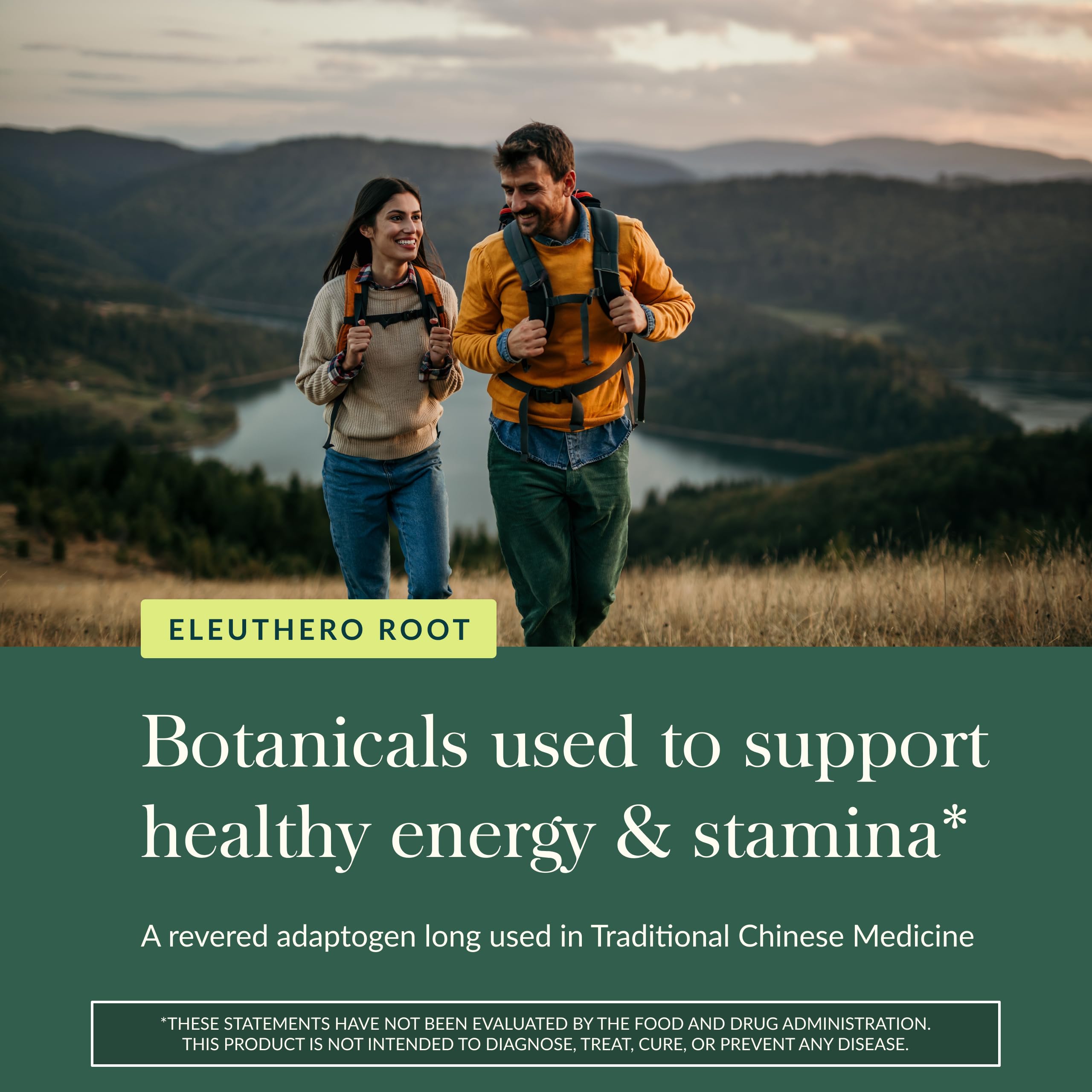 Gaia Herbs Eleuthero Root - Energy, Stamina & Mental Endurance Support* - Eleuthero Root (Siberian Ginseng) Adaptogen Herbal Supplement - 60 Vegan Liquid Phyto-Capsules (60 Servings) - Image 5