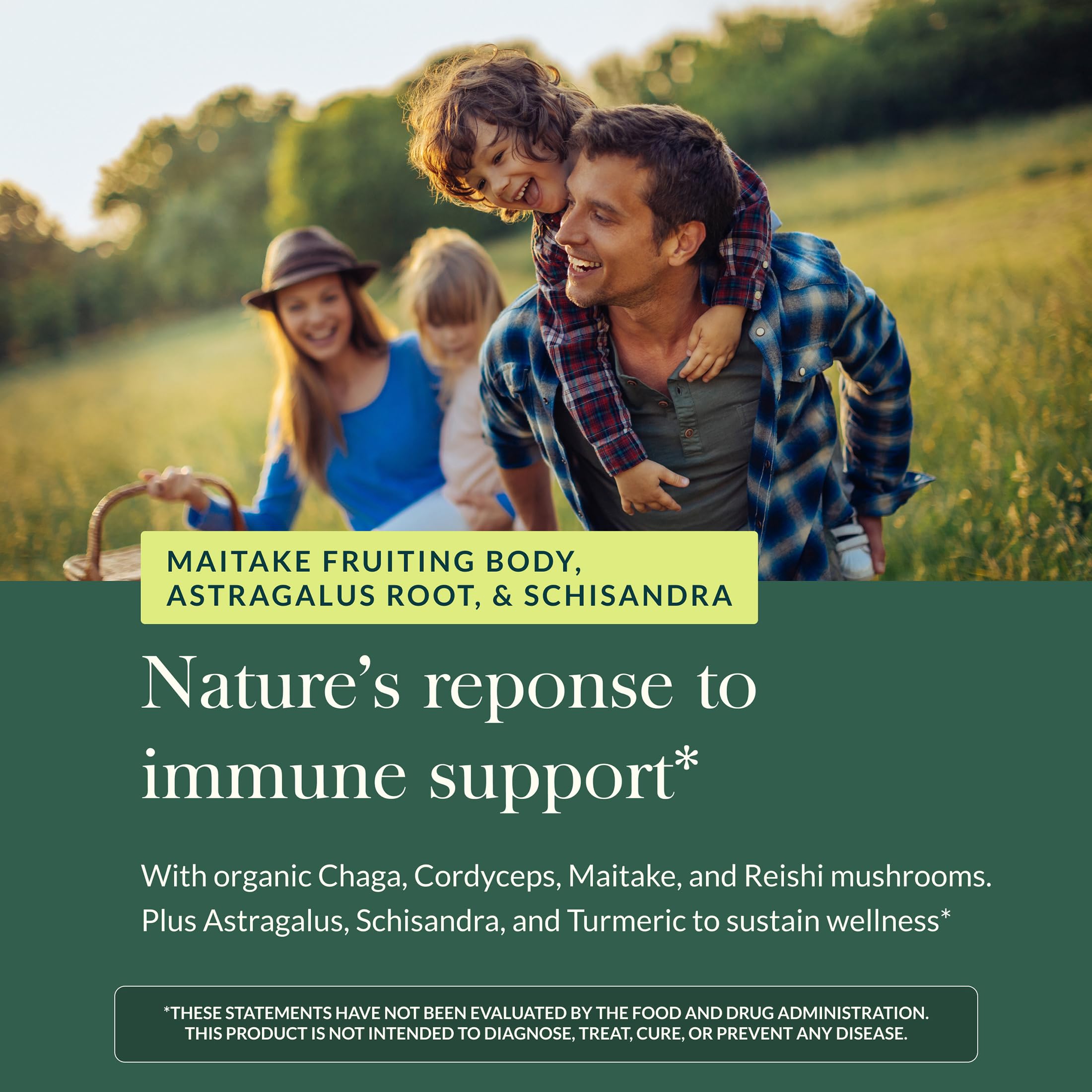 Gaia Herbs Everyday Mushroom & Herbs - Mushroom & Herbal Support Supplement to Help Aid Overall Wellness* - with Turmeric, Astragalus, Schisandra, Cordyceps, Chaga - 60 Vegan Capsules (60 Servings) - Image 5