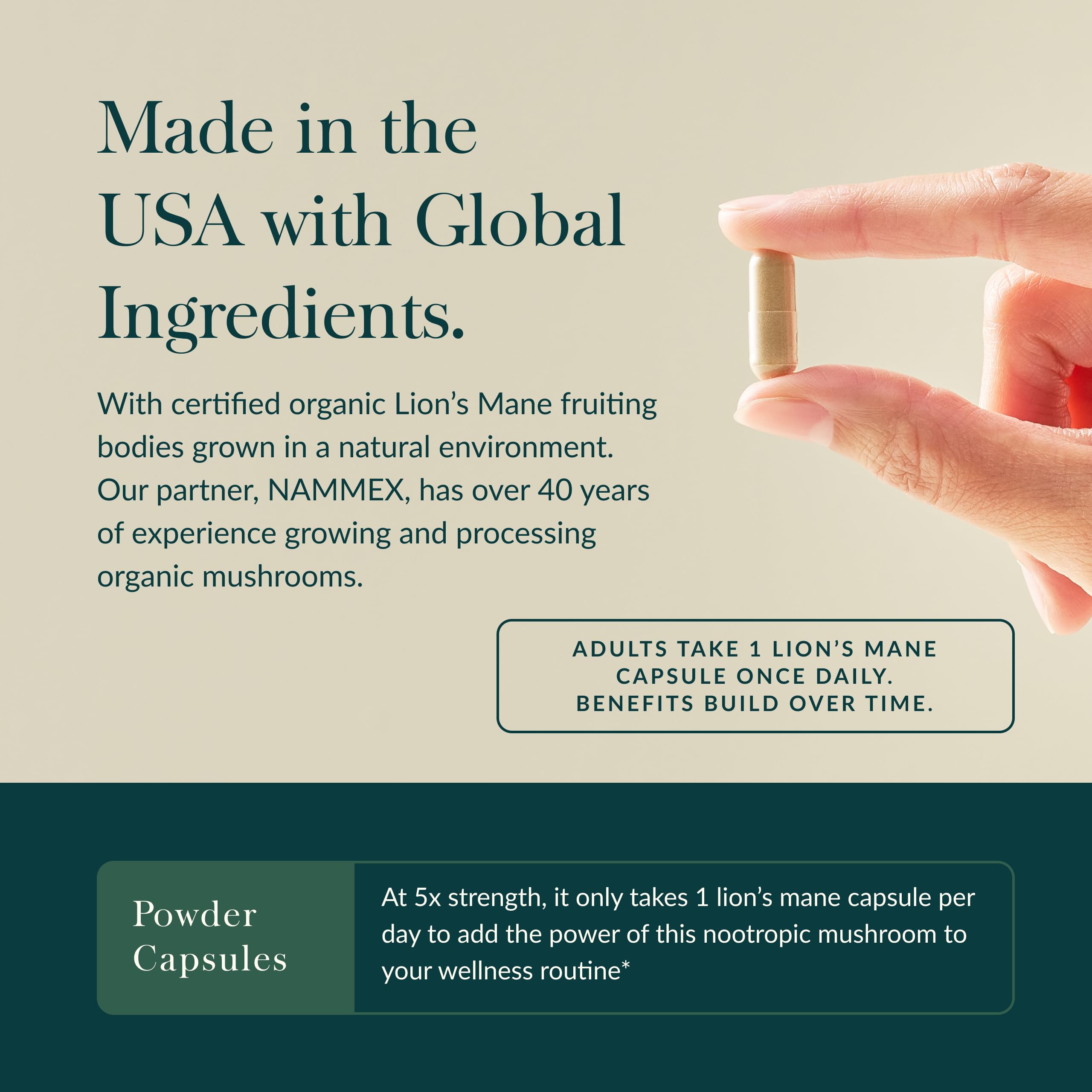 Gaia Herbs Lion's Mane Mushroom - Brain Health Support* - 40 Vegan Capsules (40 Servings) - Image 4