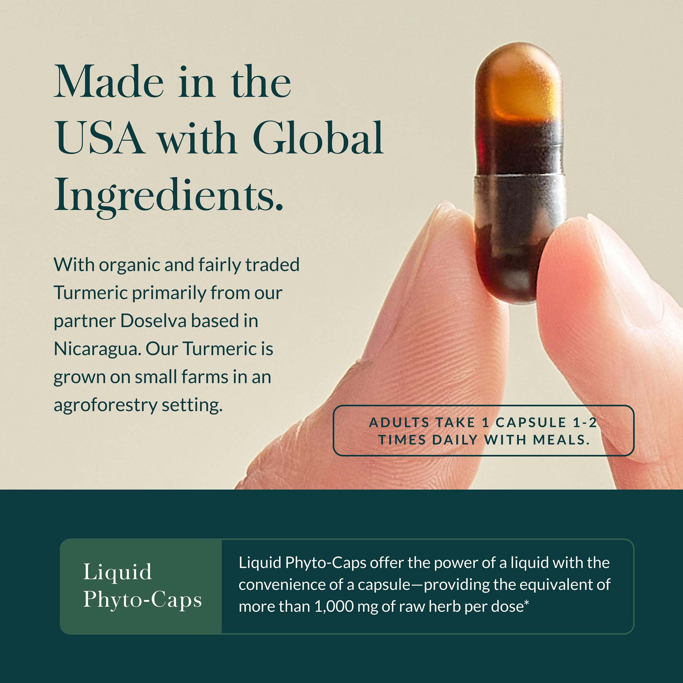 Gaia Herbs Turmeric Supreme Extra Strength - Supports Occasional Discomfort* 60 Phyto-Caps & Reishi Mushroom - Adaptogen Herbal Supplement for Longevity Support* - 40 Phyto-Caps (2 Pack) - Image 5