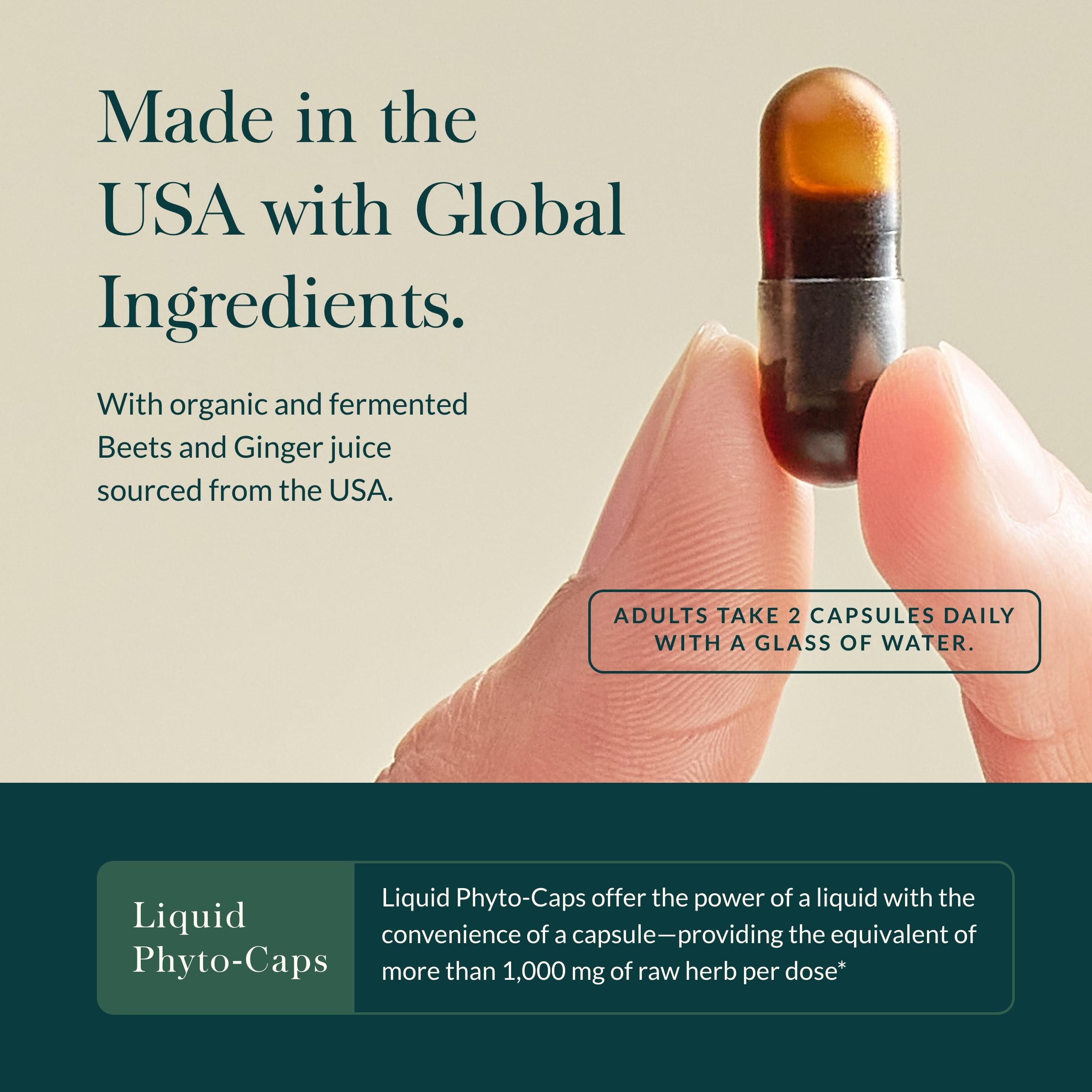 Gaia Herbs Ginger-Beet Postbiotic - Supplement for Gut & Heart Health Support* - Made with Fermented Beets & Ginger - Free from Dairy, Soy & Gluten - 60 Vegan Liquid Phyto-Caps (30 Servings) - Image 4