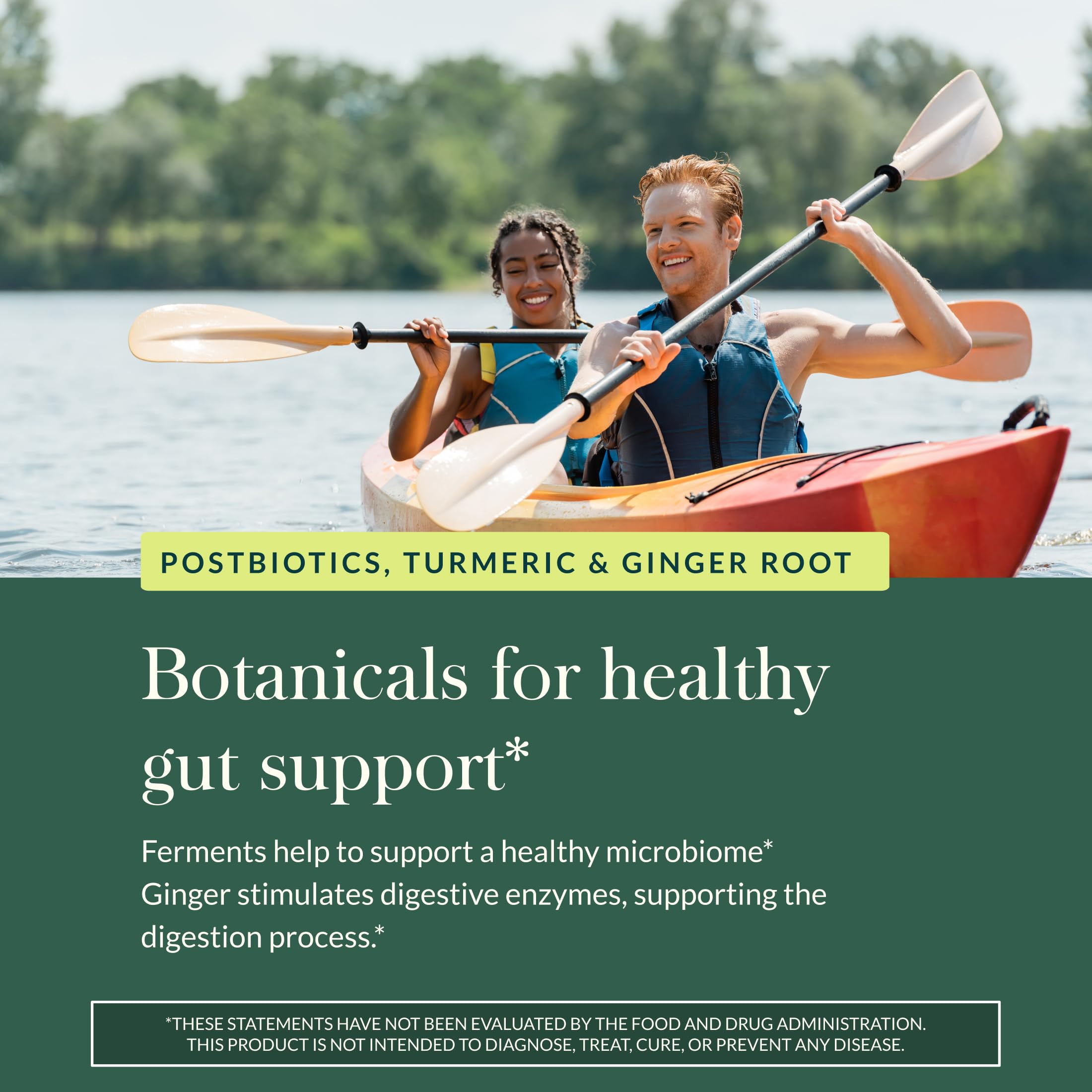 Gaia Herbs Ginger-Turmeric Postbiotic - Healthy Gut Support* - 60 Vegan Liquid Phyto-Caps (30 Servings) - Image 5