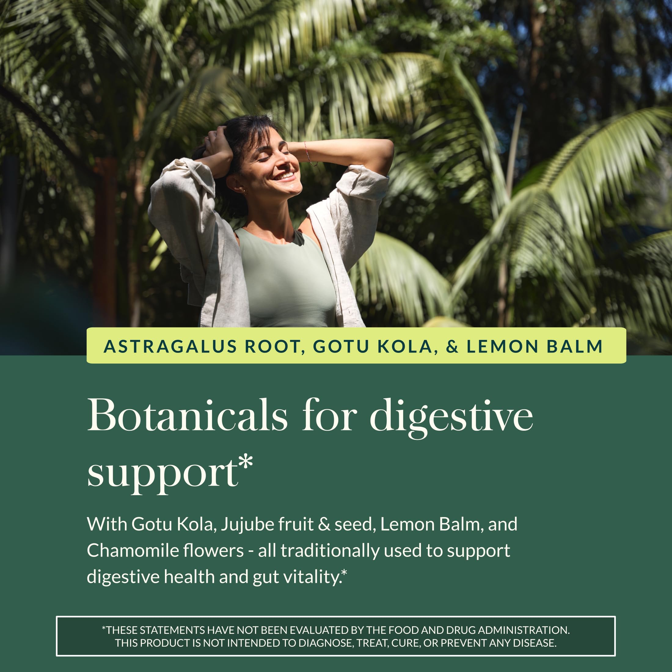 Gaia Herbs Gut Revival - Herbal Supplement to Support Healthy Gut Lining* - Made with AstraGin, Gotu Kola, Jujube & More - Free from Dairy, Soy & Gluten - 60 Vegan Liquid Phyto-Caps (60 Servings) - Image 5