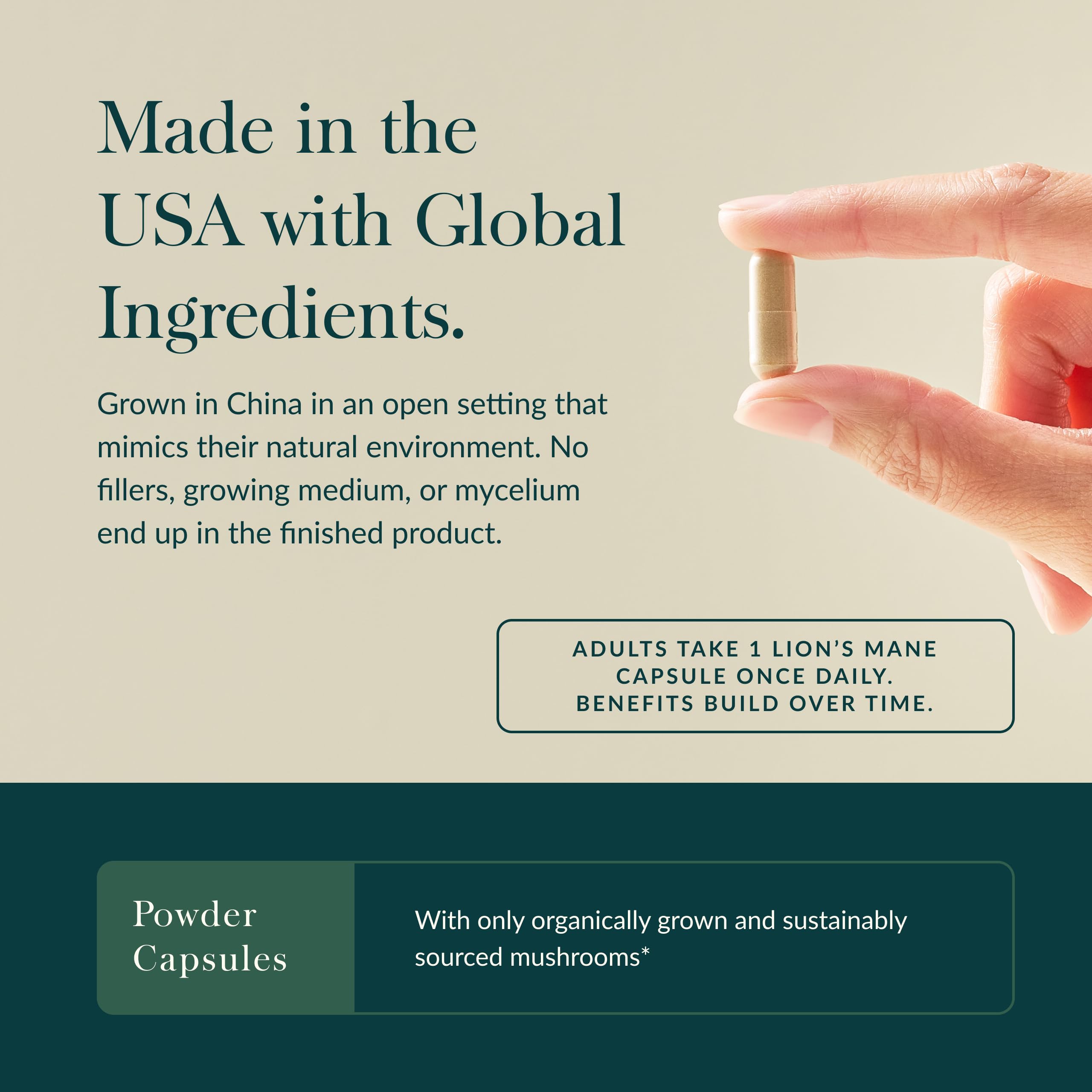 Gaia Herbs Lion’s Mane Mushroom - Brain & Nerve Health Support* - 120 Vegan Liquid Phyto-Capsules & Holy Basil Leaf - Traditionally Used to Support Stress Response*- 120 Phtyo-Cap - Bundle (Pack of 2) - Image 5