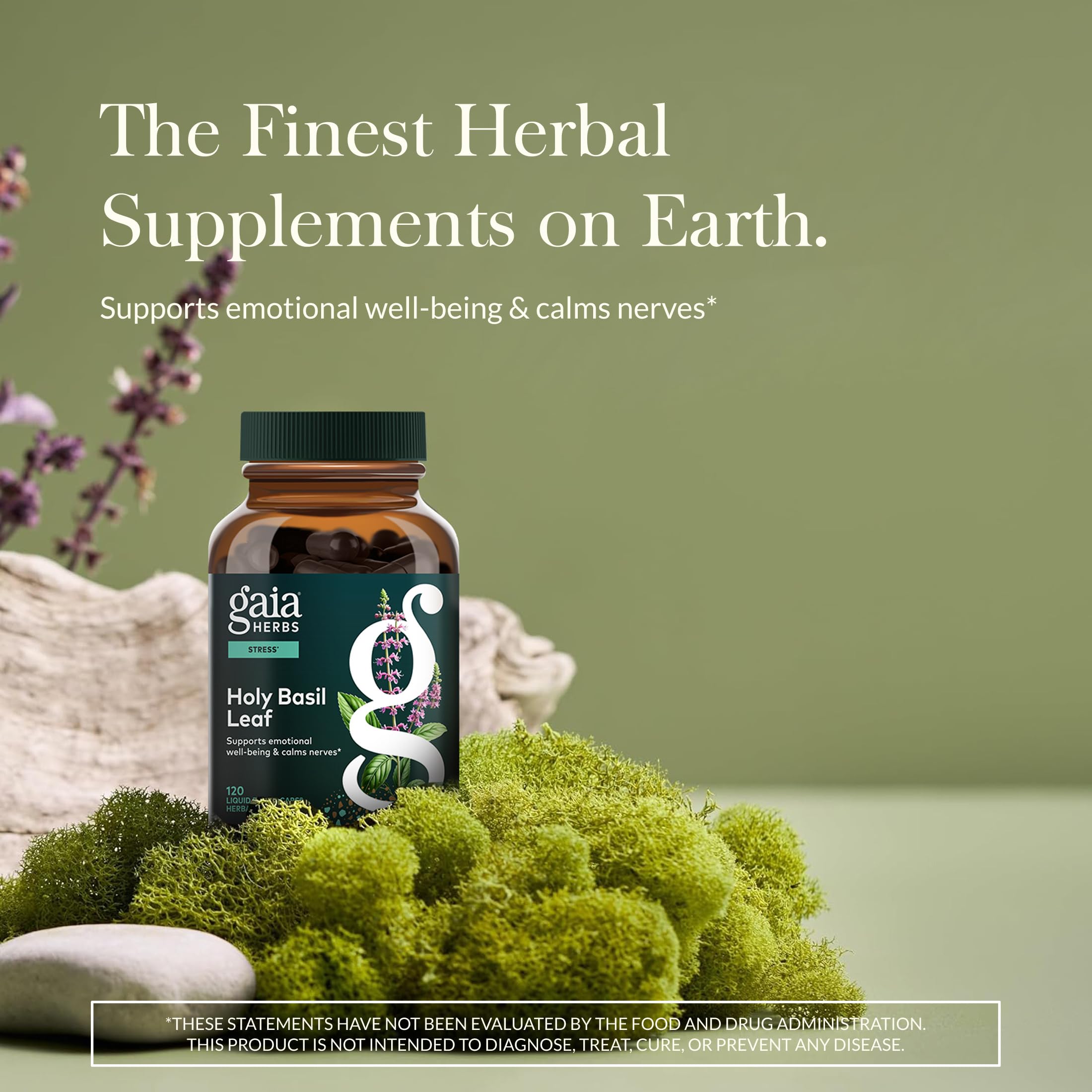 Gaia Herbs Lion’s Mane Mushroom - Brain & Nerve Health Support* - 120 Vegan Liquid Phyto-Capsules & Holy Basil Leaf - Traditionally Used to Support Stress Response*- 120 Phtyo-Cap - Bundle (Pack of 2) - Image 7