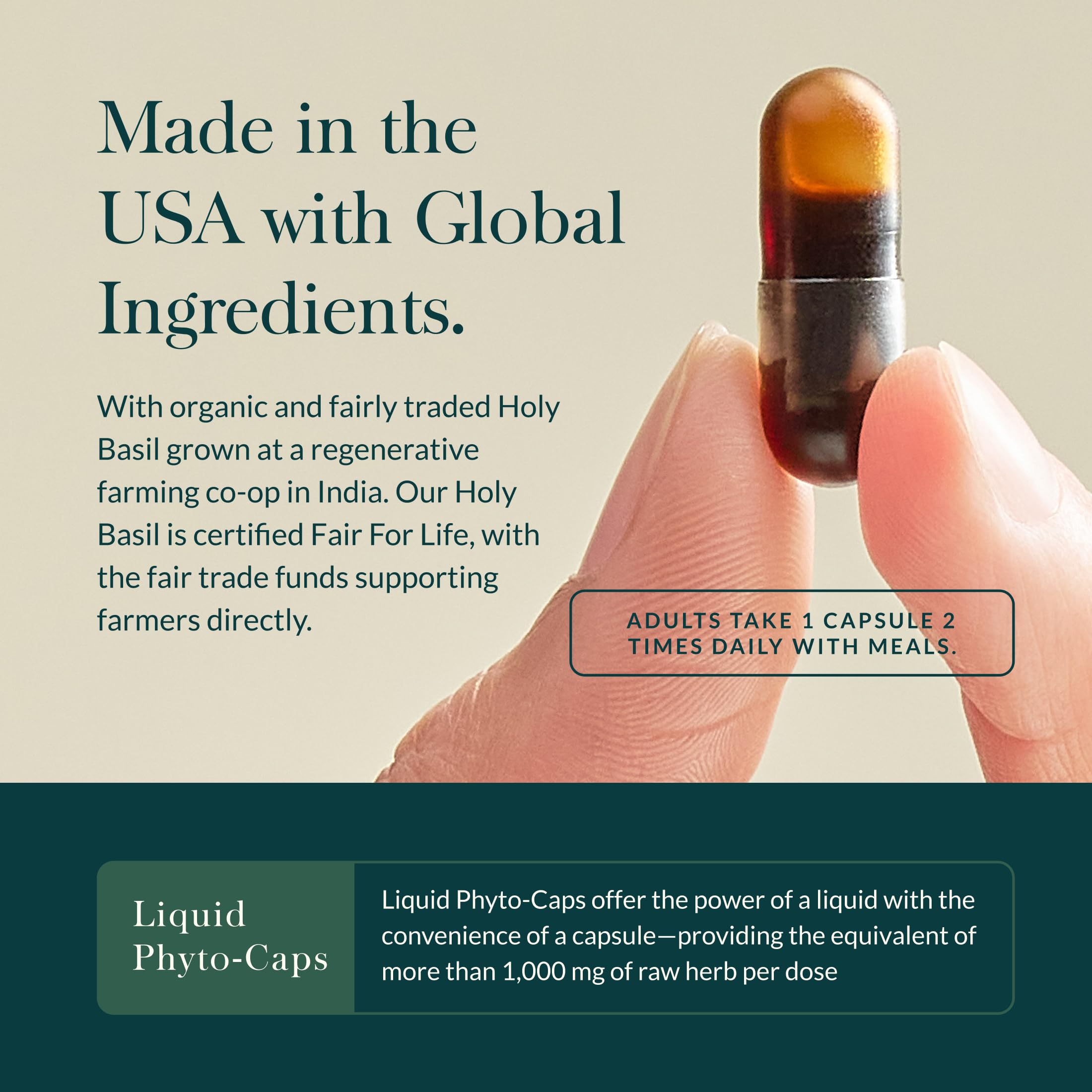 Gaia Herbs Lion’s Mane Mushroom - Brain & Nerve Health Support* - 120 Vegan Liquid Phyto-Capsules & Holy Basil Leaf - Traditionally Used to Support Stress Response*- 120 Phtyo-Cap - Bundle (Pack of 2) - Image 8