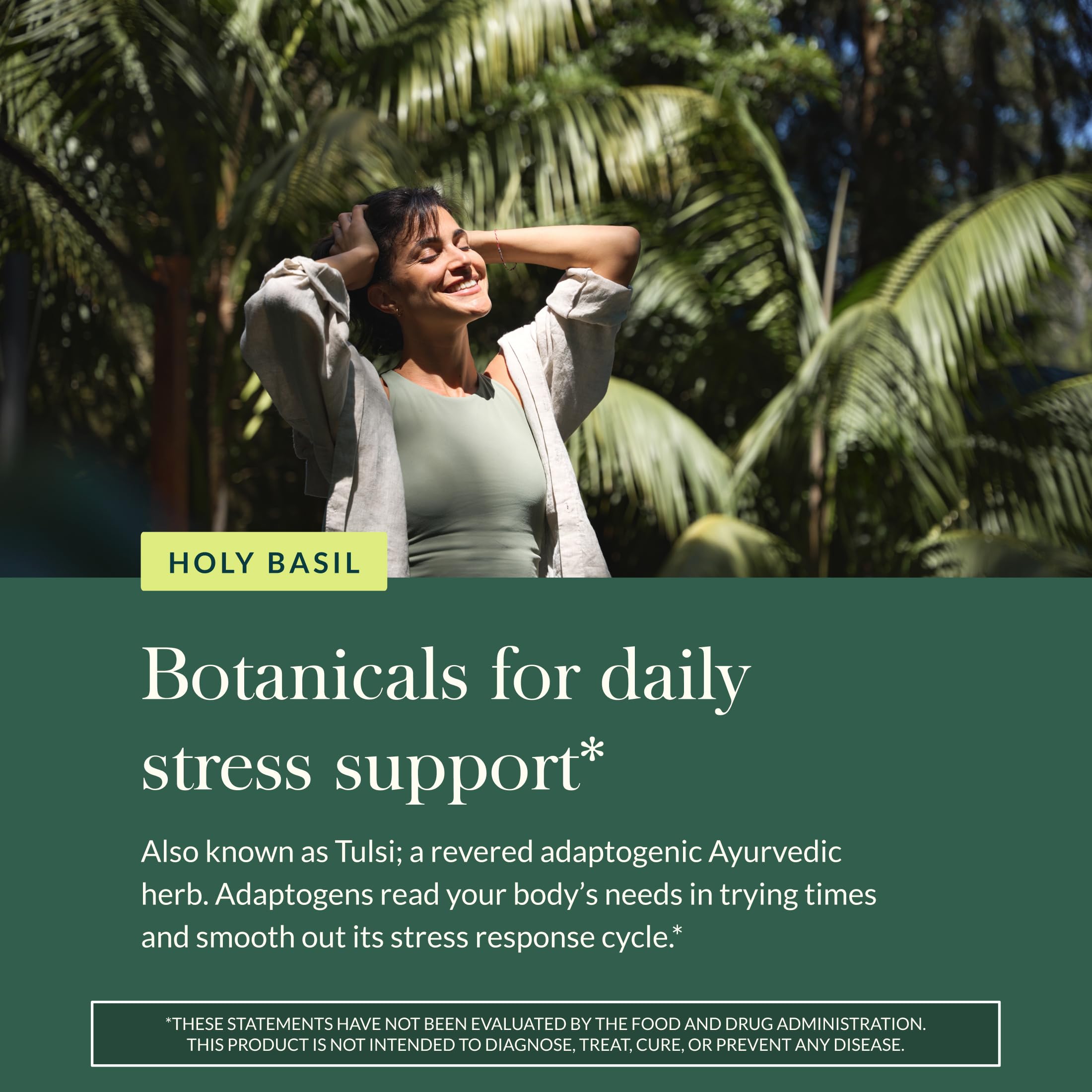 Gaia Herbs Lion’s Mane Mushroom - Brain & Nerve Health Support* - 120 Vegan Liquid Phyto-Capsules & Holy Basil Leaf - Traditionally Used to Support Stress Response*- 120 Phtyo-Cap - Bundle (Pack of 2) - Image 9