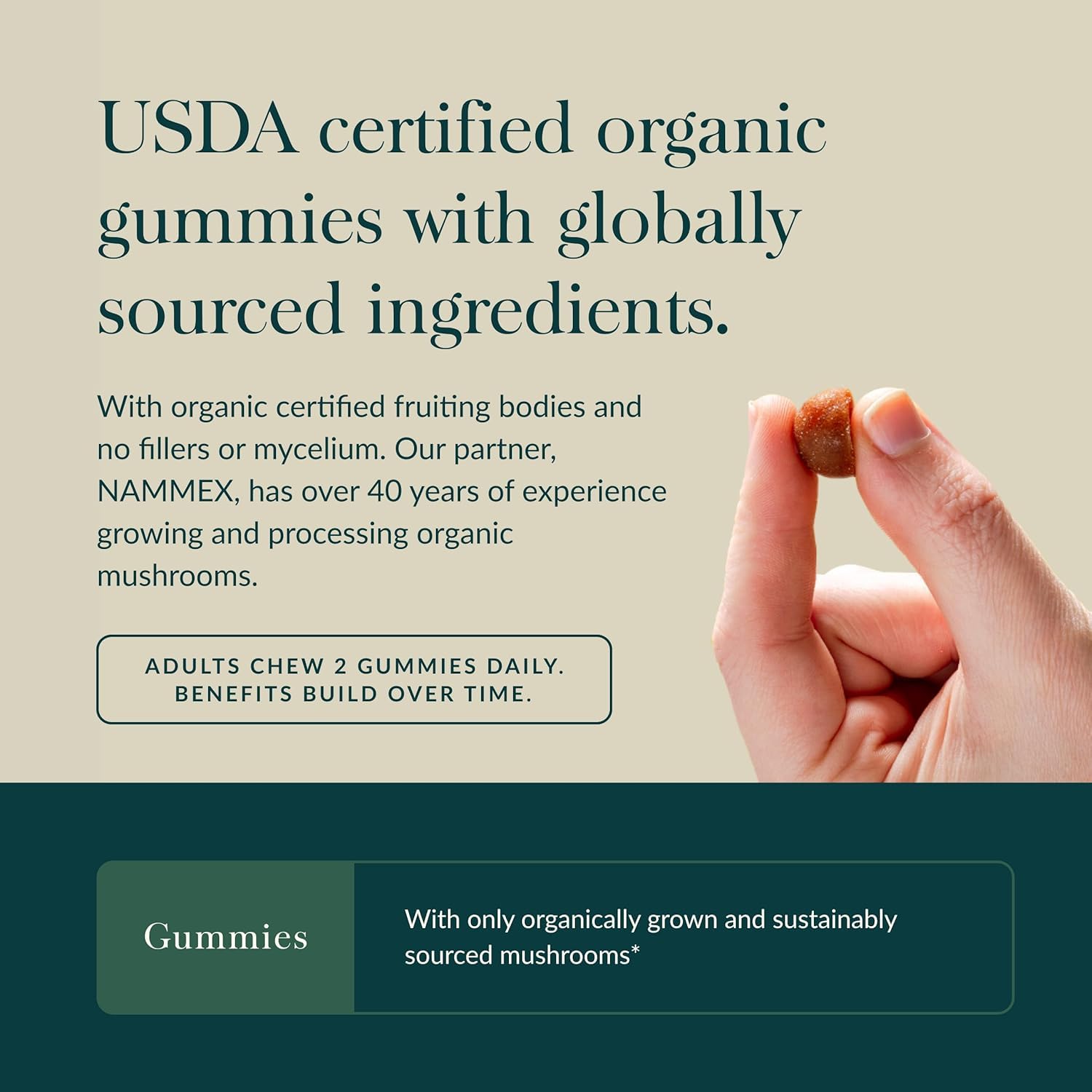 Gaia Herbs Lion's Mane Mushroom Gummies - Brain Support Supplement* - Made with Organic Lion's Mane Mushrooms - Free from Gluten, Soy & Dairy - 60 Vegan Gummies (30 Servings) - Image 4