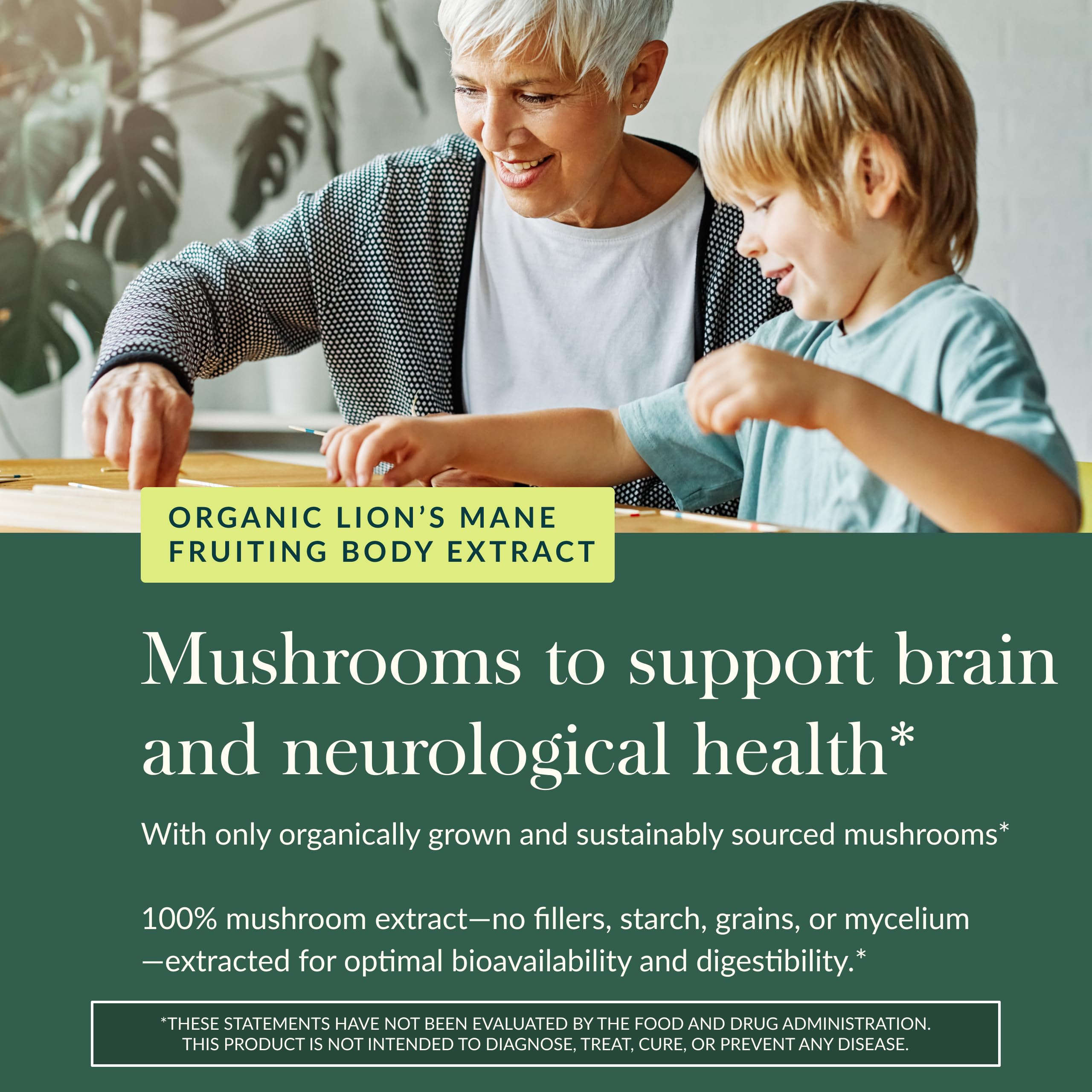 Gaia Herbs Lion's Mane Mushroom Gummies - Brain Support Supplement* - Made with Organic Lion's Mane Mushrooms - Free from Gluten, Soy & Dairy - 60 Vegan Gummies (30 Servings) - Image 5