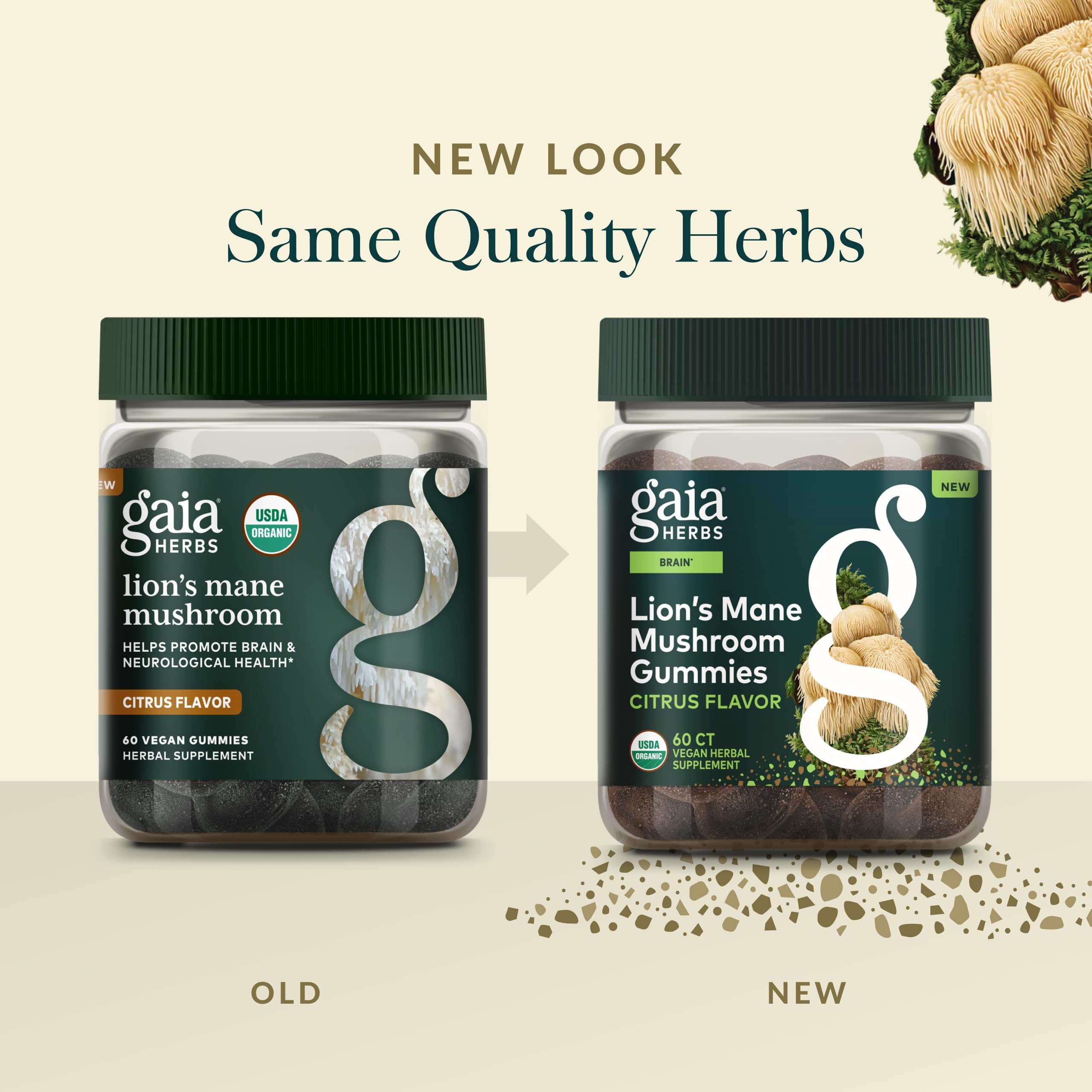 Gaia Herbs Lion's Mane Mushroom Gummies - Brain Support Supplement* - Made with Organic Lion's Mane Mushrooms - Free from Gluten, Soy & Dairy - 60 Vegan Gummies (30 Servings) - Image 6