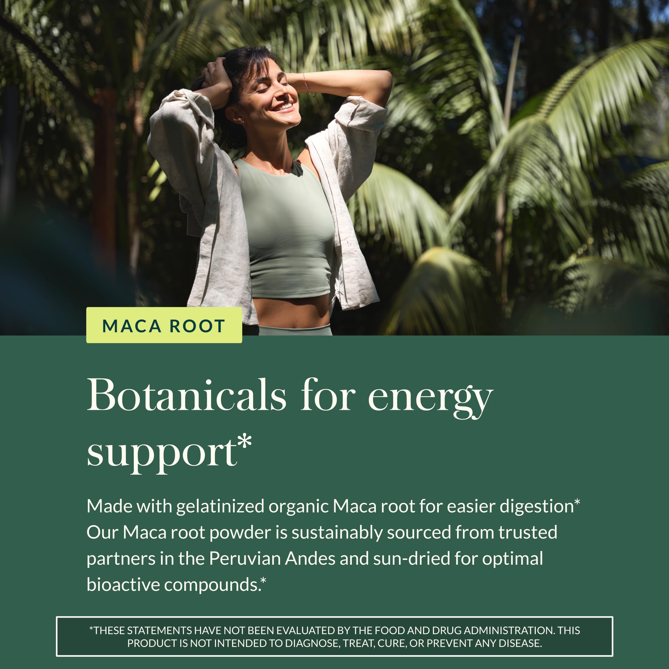 Gaia Herbs Maca Powder - Energy Supplement - Traditionally Used to Support Healthy Energy & Stamina* - Made with USDA Certified Organic Maca Root (Lepidium meyenii) - 8 Oz (69 Servings) - Image 5