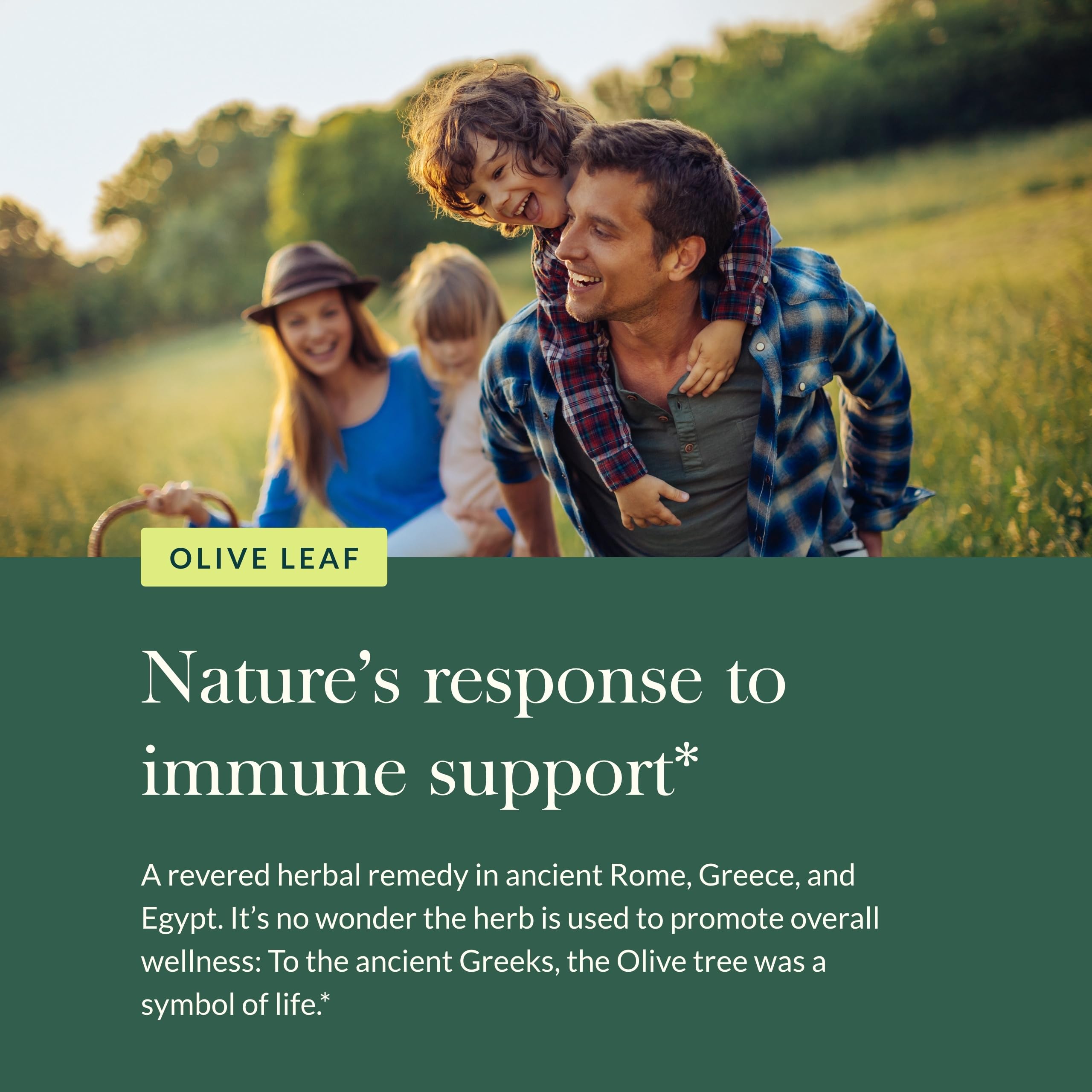 Gaia Herbs Olive Leaf 1 Fl Oz, Liquid Extract - Image 5