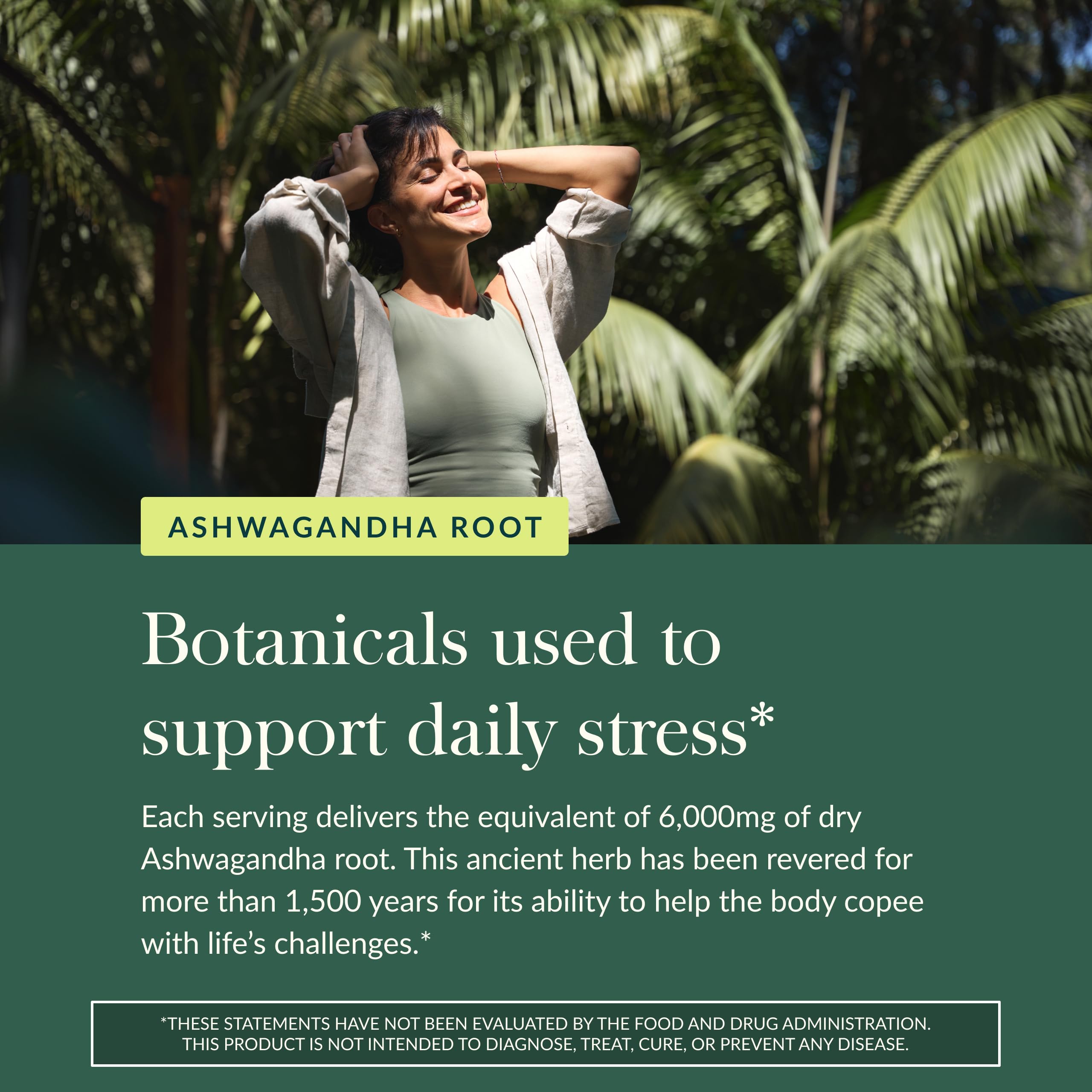 Gaia Herbs Organic Ashwagandha Gummies - Stress Support* - Made with Cinnamon & Ginger - Gluten Free & Vegan - 81 Count (27 Servings) - Image 5