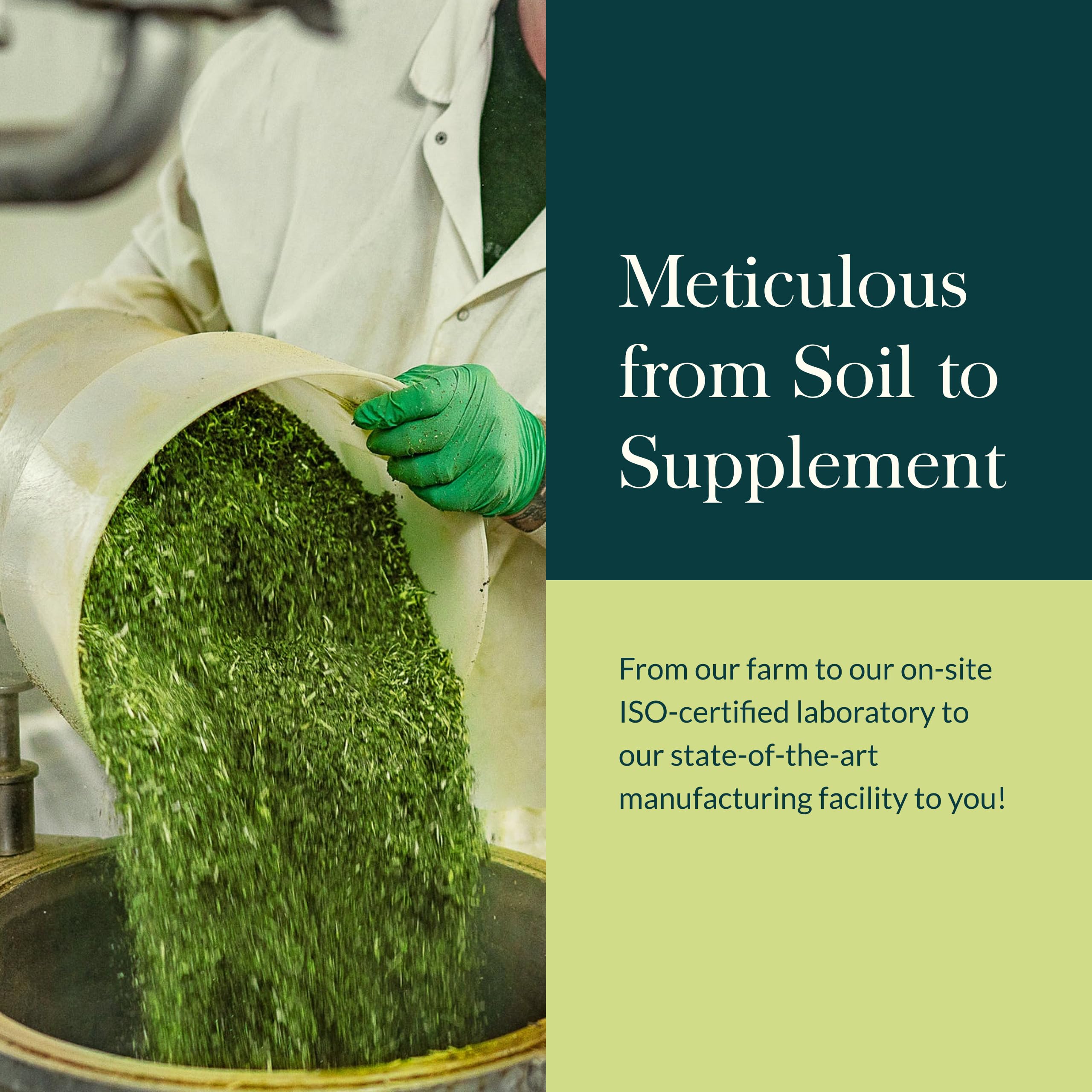 Gaia Herbs Ginger-Beet Postbiotic - Supplement for Gut & Heart Health Support* - Made with Fermented Beets & Ginger - Free from Dairy, Soy & Gluten - 60 Vegan Liquid Phyto-Caps (30 Servings) - Image 8