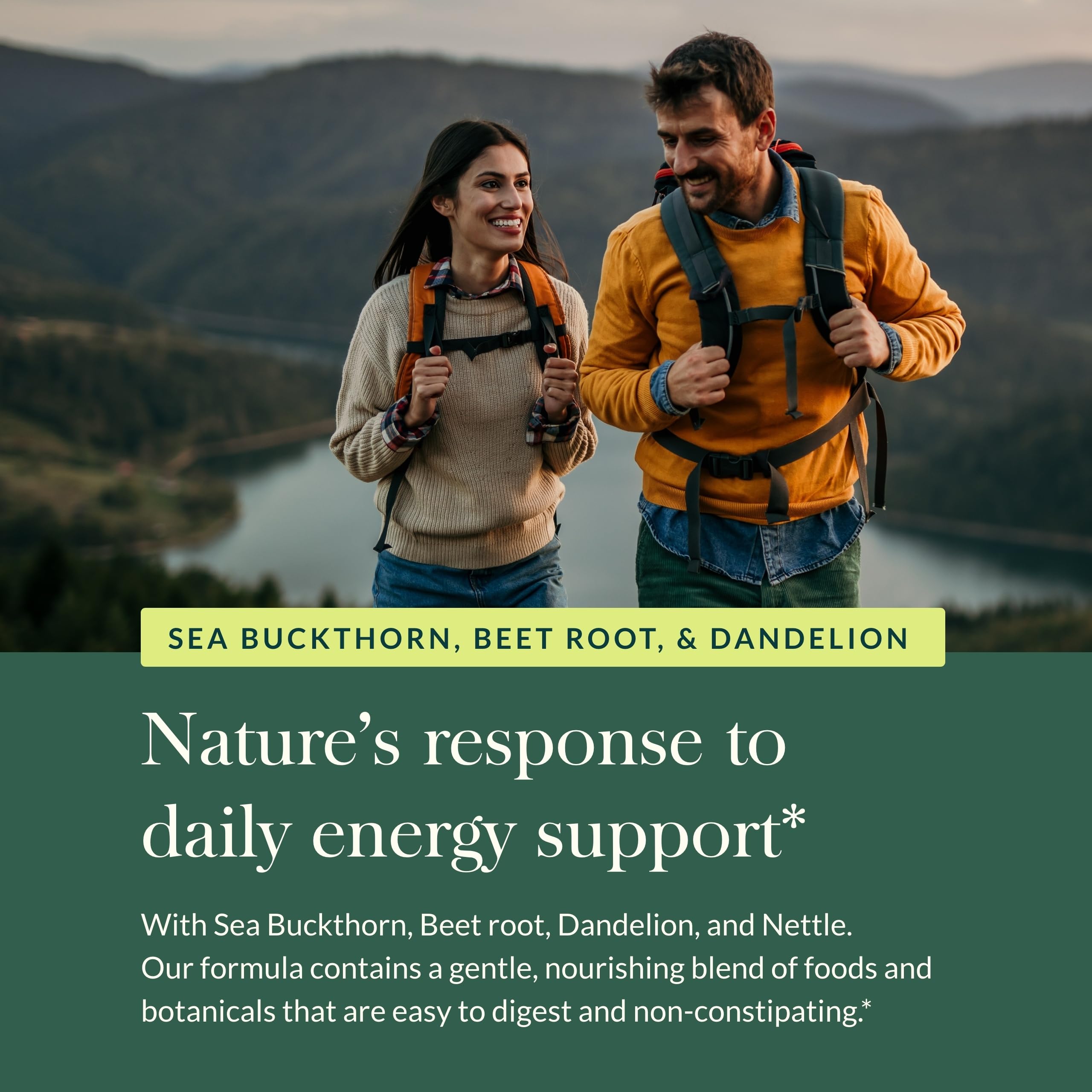 Gaia Herbs Plant Force Liquid Iron - Vegetarian Supplement to Help Maintain Healthy Energy Levels - with Star Anise, Sea Buckthorn, Beet Root, Dandelion & Nettle - 16 Fl Oz (47 Servings) - Image 5