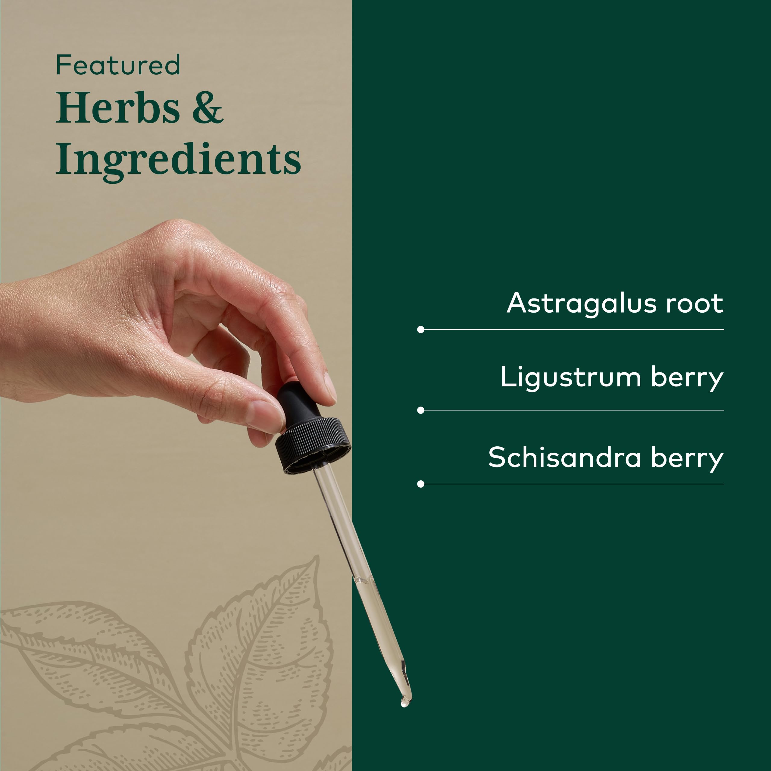GAIA HERBS PRO 3-in-1 Immune Formula - Immune System Support Supplement* - Liquid Supplement with Astragalus Root & Schisandra Berry - 2 Fl OZ (44 Servings) - Image 4
