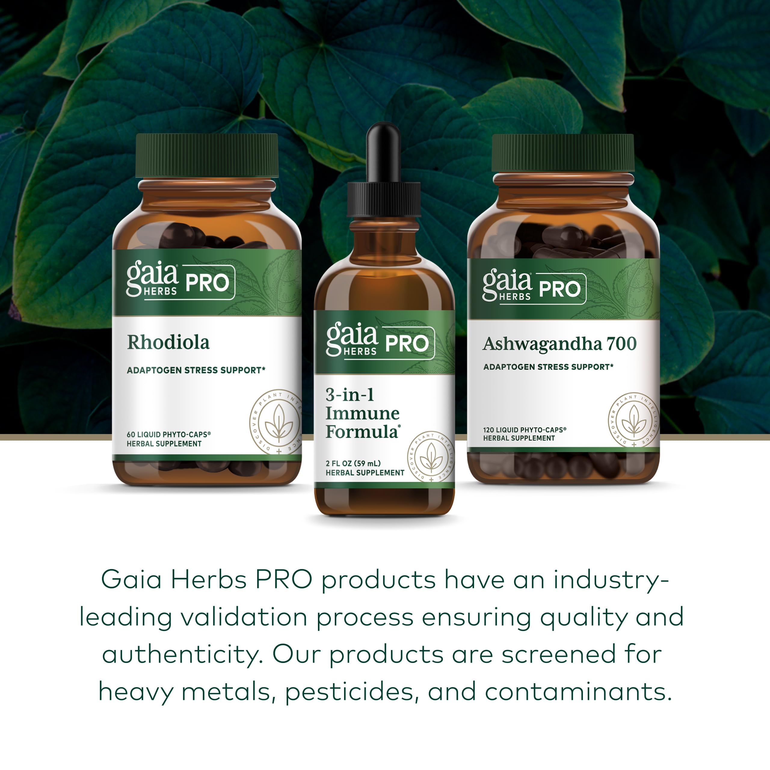 GAIA HERBS PRO 3-in-1 Immune Formula - Immune System Support Supplement* - Liquid Supplement with Astragalus Root & Schisandra Berry - 2 Fl OZ (44 Servings) - Image 6