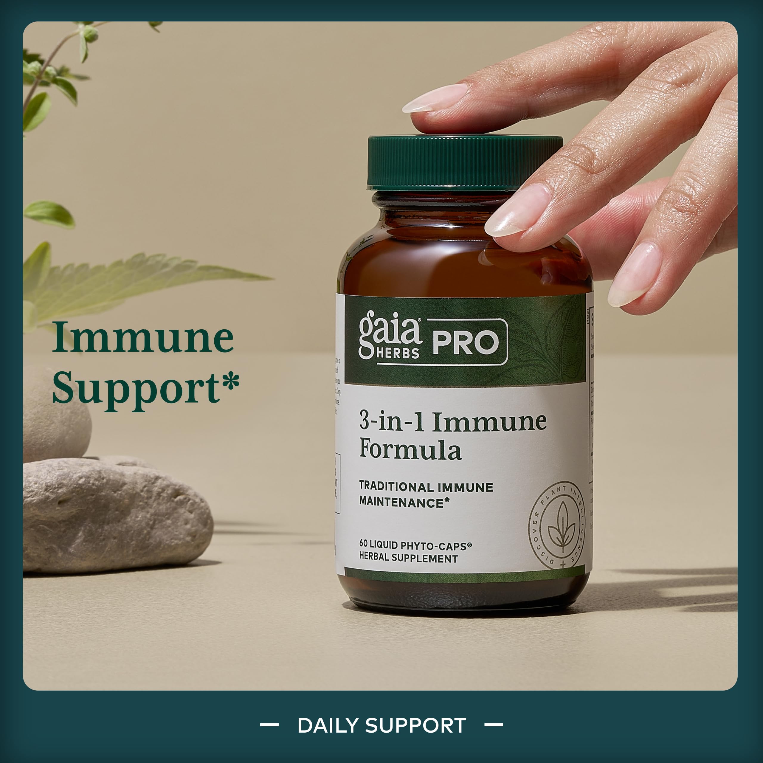 GAIA HERBS PRO 3-in-1 Immune Formula - Stress & Immune Support Supplement - Contains Astragalus Root, Schisandra Berry & More - Vegan, Gluten-Free & Soy-Free - 60 Liquid Phyto-Caps (30 Servings) - Image 3