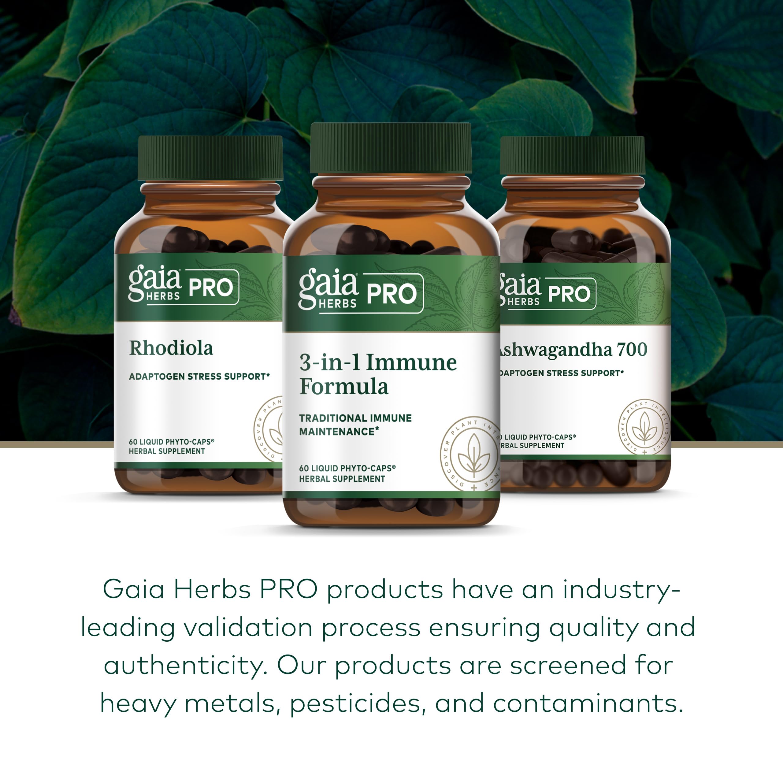 GAIA HERBS PRO 3-in-1 Immune Formula - Stress & Immune Support Supplement - Contains Astragalus Root, Schisandra Berry & More - Vegan, Gluten-Free & Soy-Free - 60 Liquid Phyto-Caps (30 Servings) - Image 6