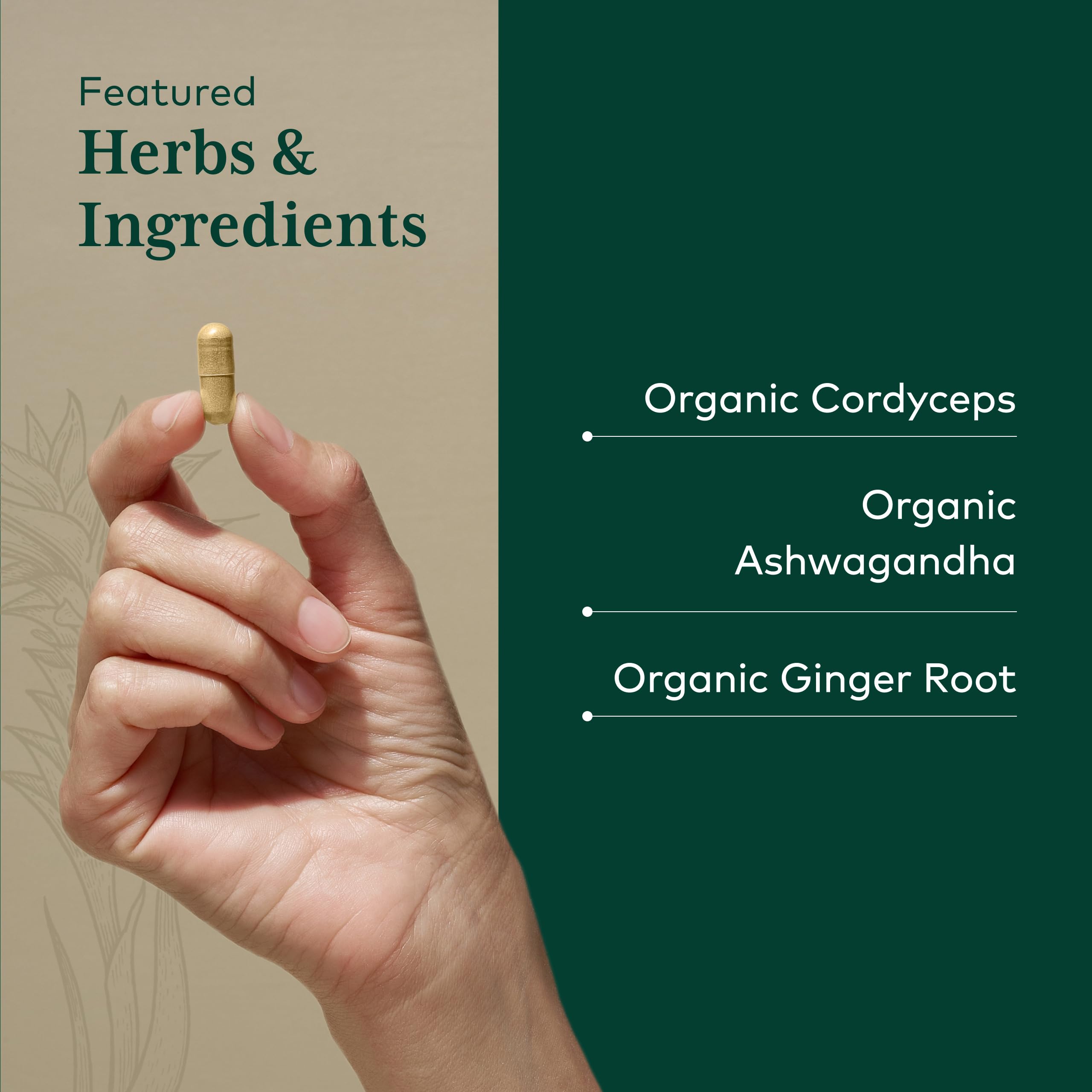 GAIA HERBS PRO Adaptogen Performance - Endurance & Energy Support* - Cordyceps & Ashwagandha Extract - 120 Capsules (60 Servings) - Image 4