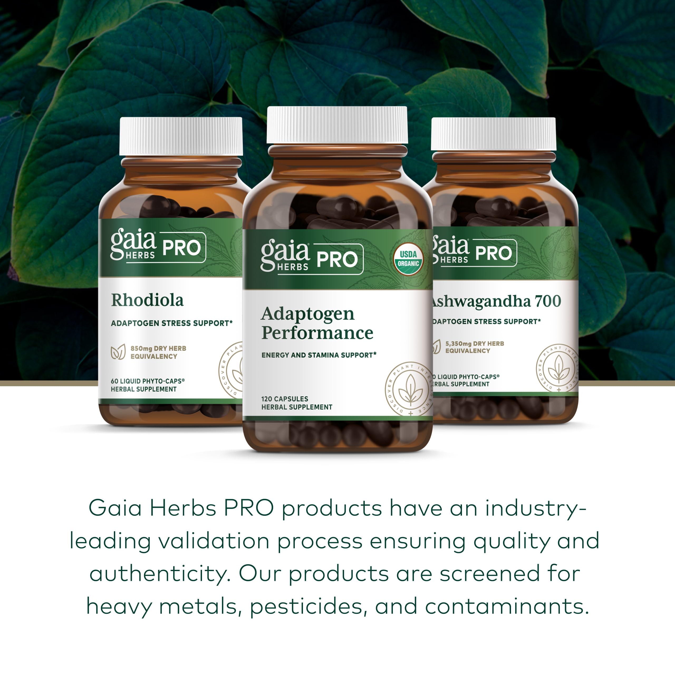 GAIA HERBS PRO Adaptogen Performance - Endurance & Energy Support* - Cordyceps & Ashwagandha Extract - 120 Capsules (60 Servings) - Image 6