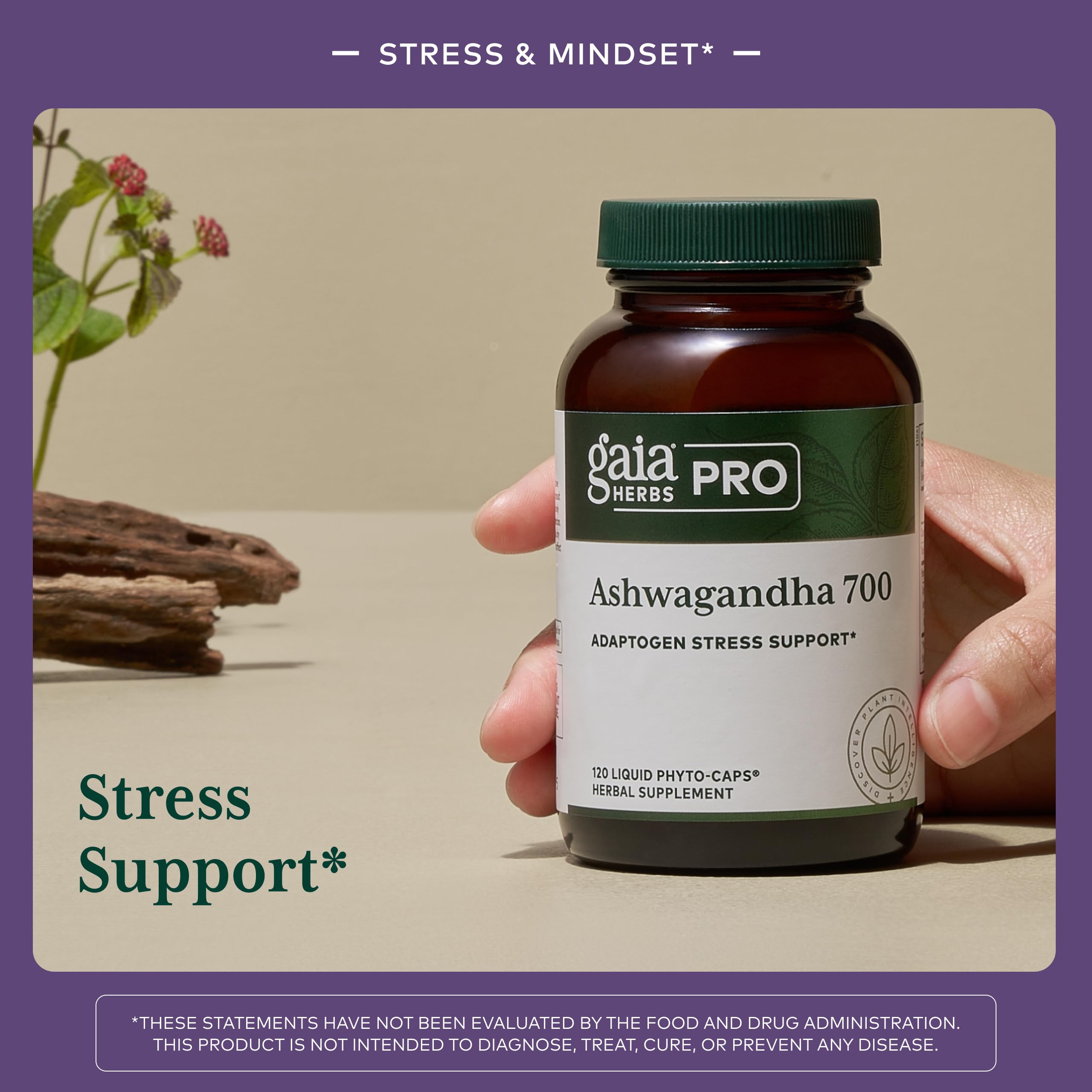 GAIA HERBS PRO Ashwagandha 700 - Healthy Immune Support Supplement* - Single-Herb Formula with Organic Ashwagandha - Vegan, Gluten-Free, Soy-Free - 120 Liquid Phyto-Caps (60 Servings) - Image 3