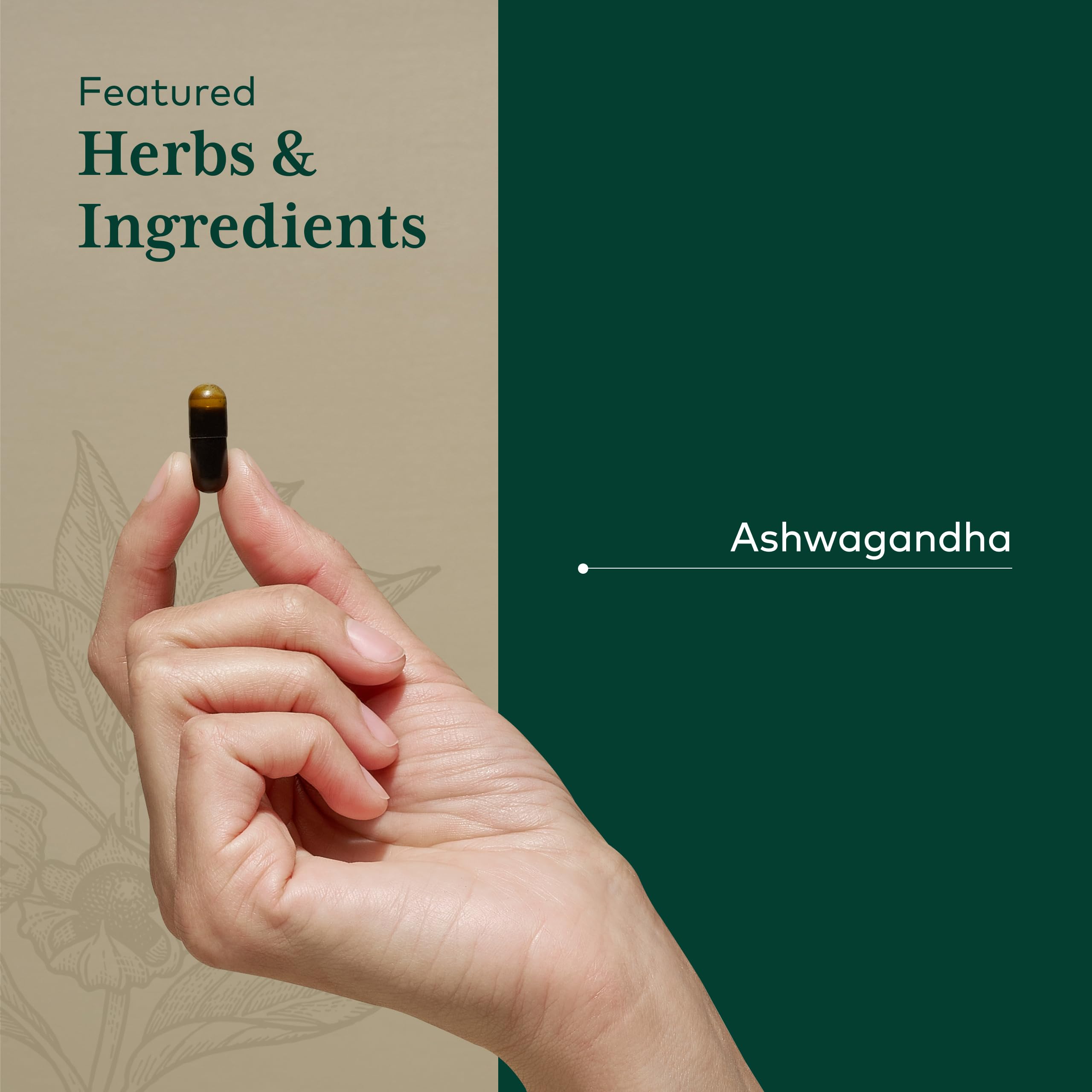 GAIA HERBS PRO Ashwagandha 700 - Healthy Immune Support Supplement* - Single-Herb Formula with Organic Ashwagandha - Vegan, Gluten-Free, Soy-Free - 120 Liquid Phyto-Caps (60 Servings) - Image 4