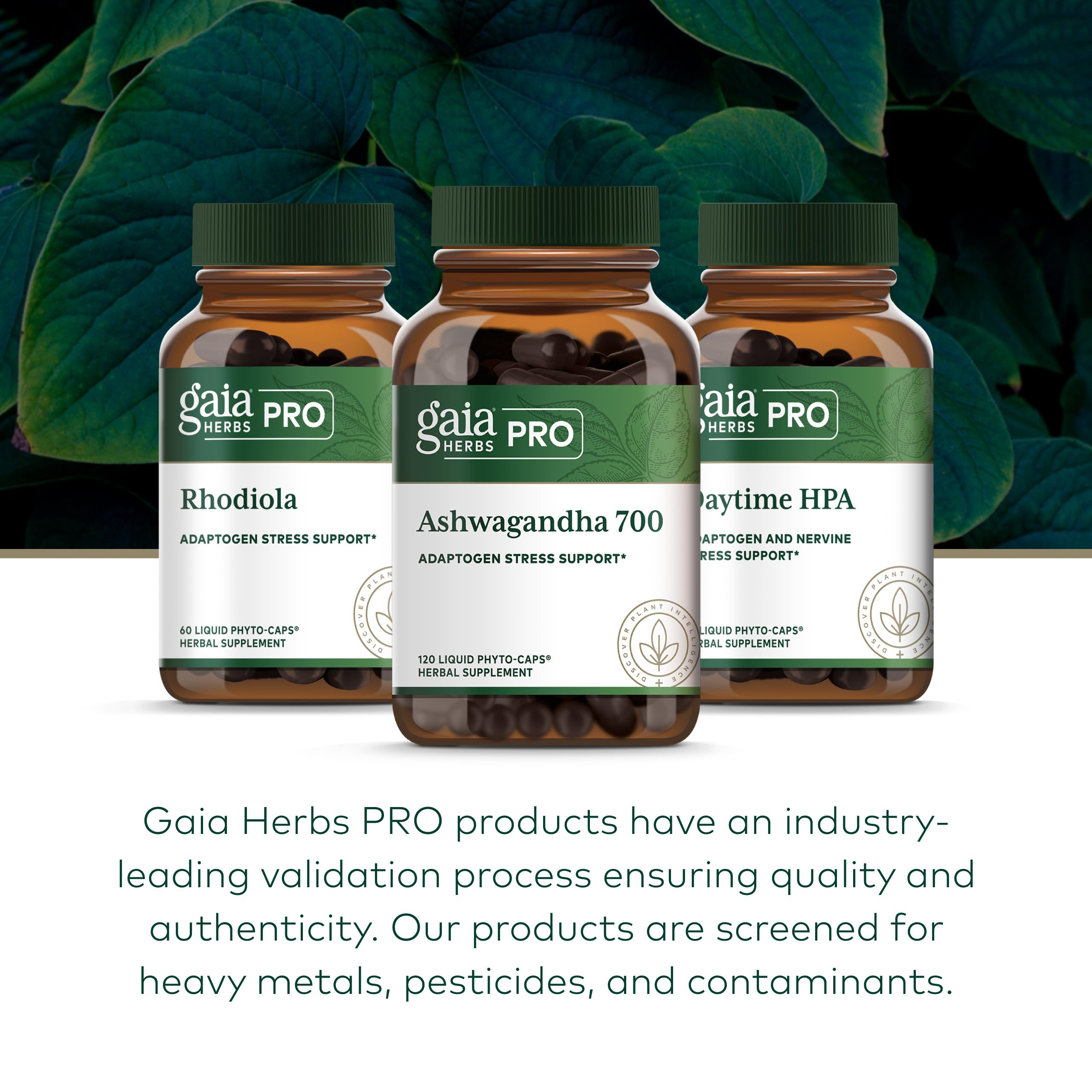 GAIA HERBS PRO Ashwagandha 700 - Healthy Immune Support Supplement* - Single-Herb Formula with Organic Ashwagandha - Vegan, Gluten-Free, Soy-Free - 120 Liquid Phyto-Caps (60 Servings) - Image 6