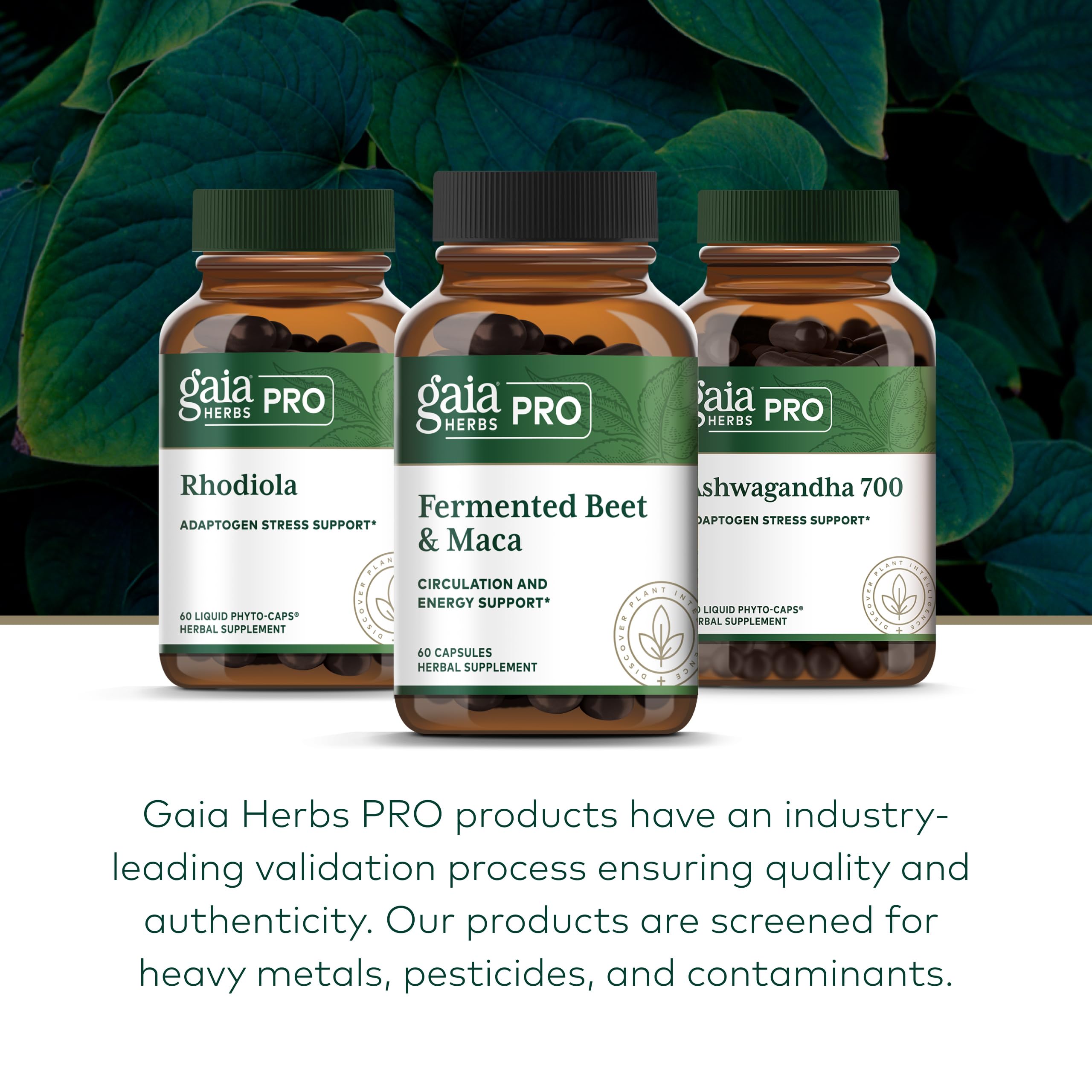 GAIA HERBS PRO Berberine Metabolic - Supplement Supplement with Berberine HCI - Vegan, Gluten-Free, Soy-Free - 60 Capsules (60 Servings) - Image 6