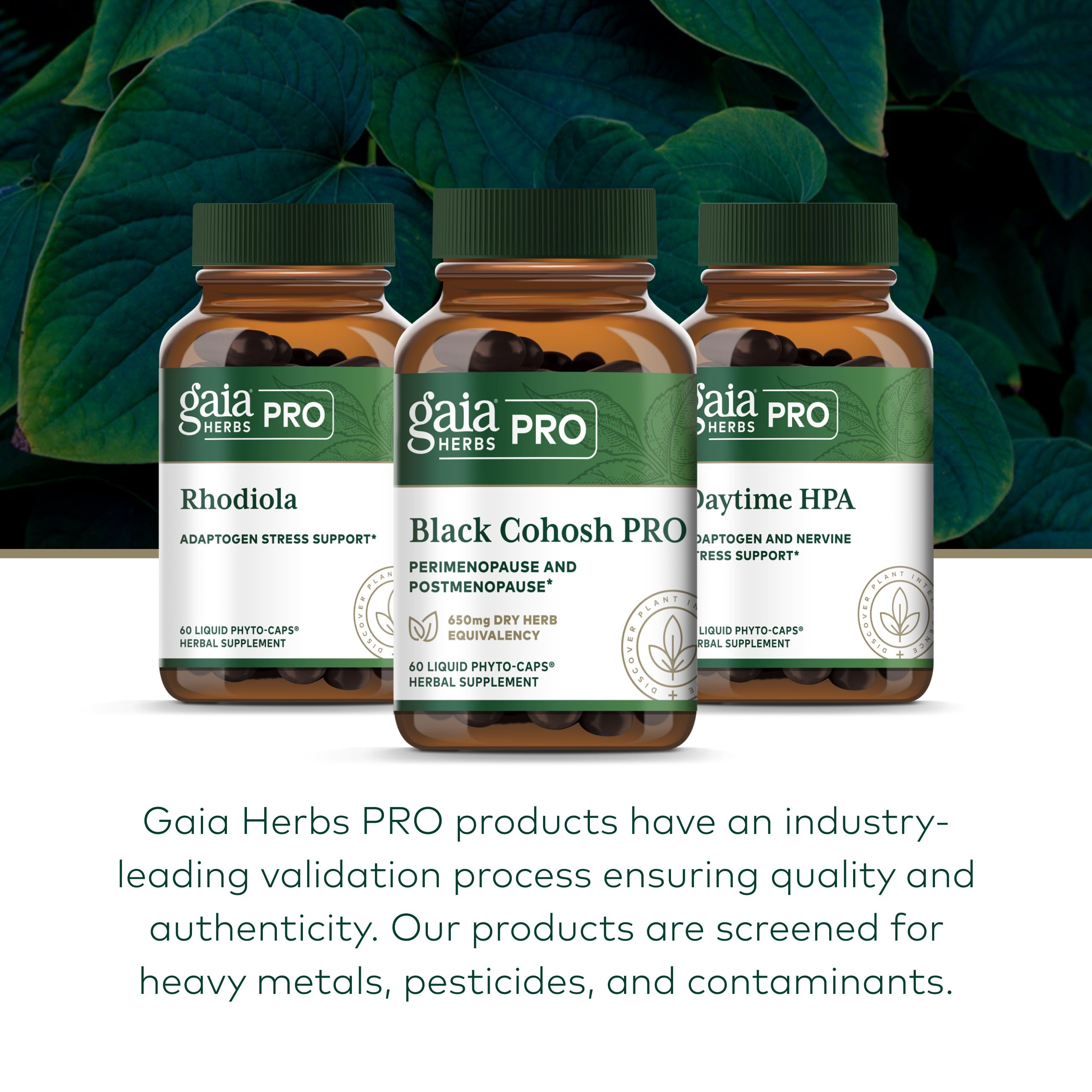 GAIA HERBS PRO Black Cohosh PRO - Healthy Perimenopause & Post Menopause Support Supplement* - Women's Health Supplement with Black Cohosh Root Extract - Vegan - 60 Liquid Phyto-Caps (60 Servings) - Image 6