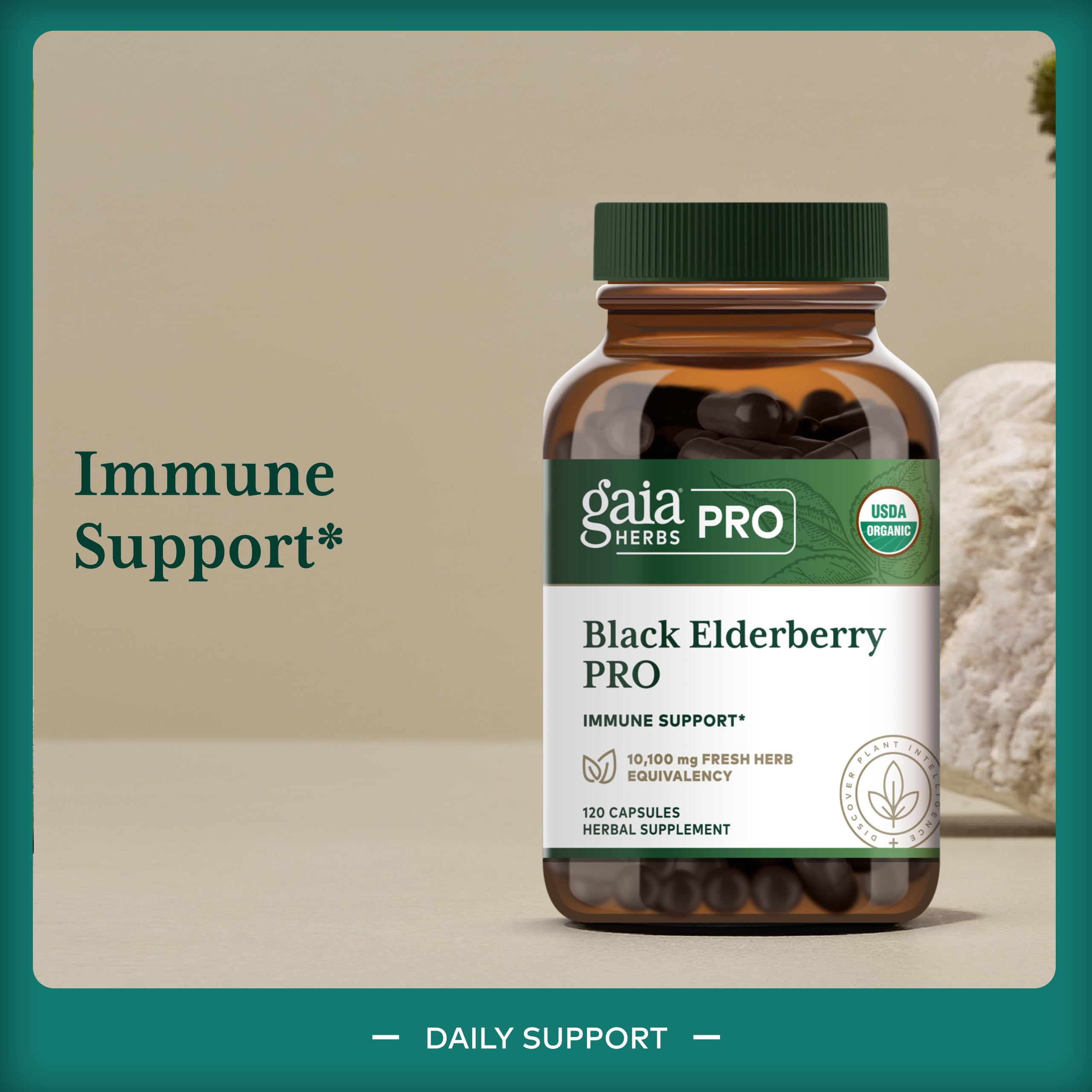 GAIA HERBS PRO Black Elderberry Pro - Supports Immune System Health* - Concentrated Organic Black Elderberry Extract - Vegan - 120 Capsules (60 Servings) - Image 3