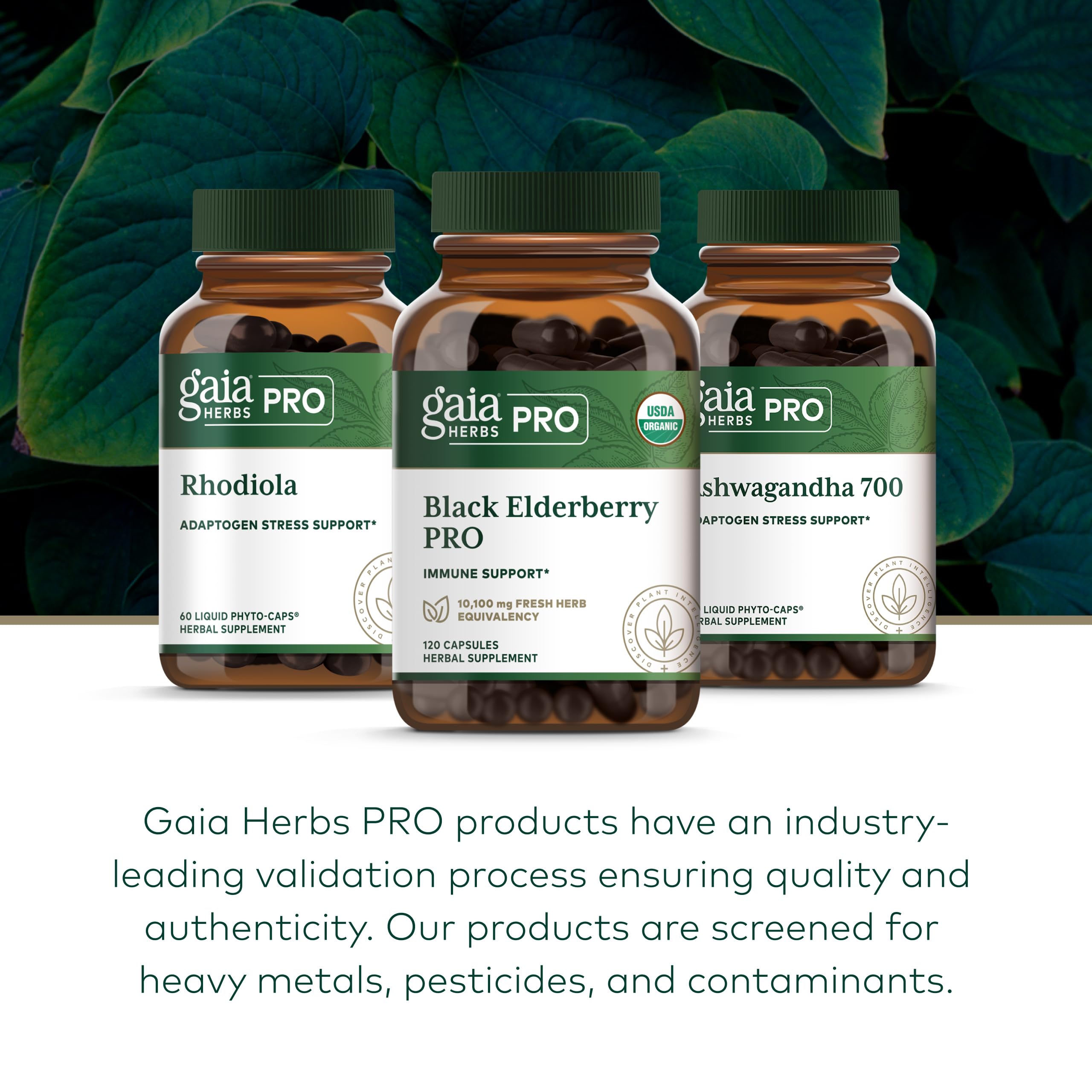 GAIA HERBS PRO Black Elderberry Pro - Supports Immune System Health* - Concentrated Organic Black Elderberry Extract - Vegan - 120 Capsules (60 Servings) - Image 6