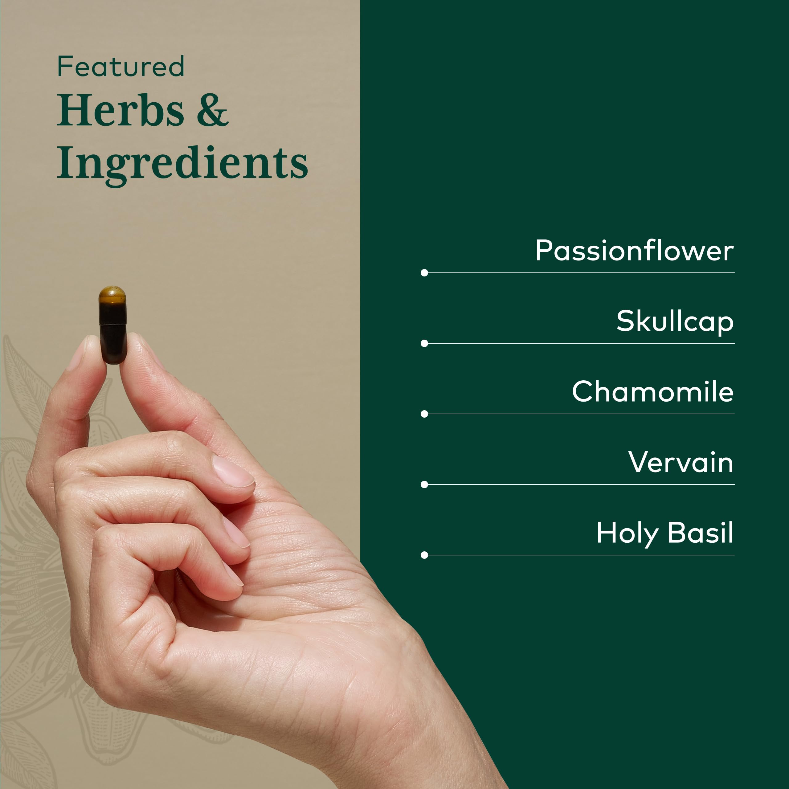 GAIA HERBS PRO Calm Restore - Nervous System Support Supplement* - Calm Support Supplement* with Skullcap, Chamomile, Holy Basil & Lavender - 60 Liquid Phyto-Caps (20 Servings) - Image 4