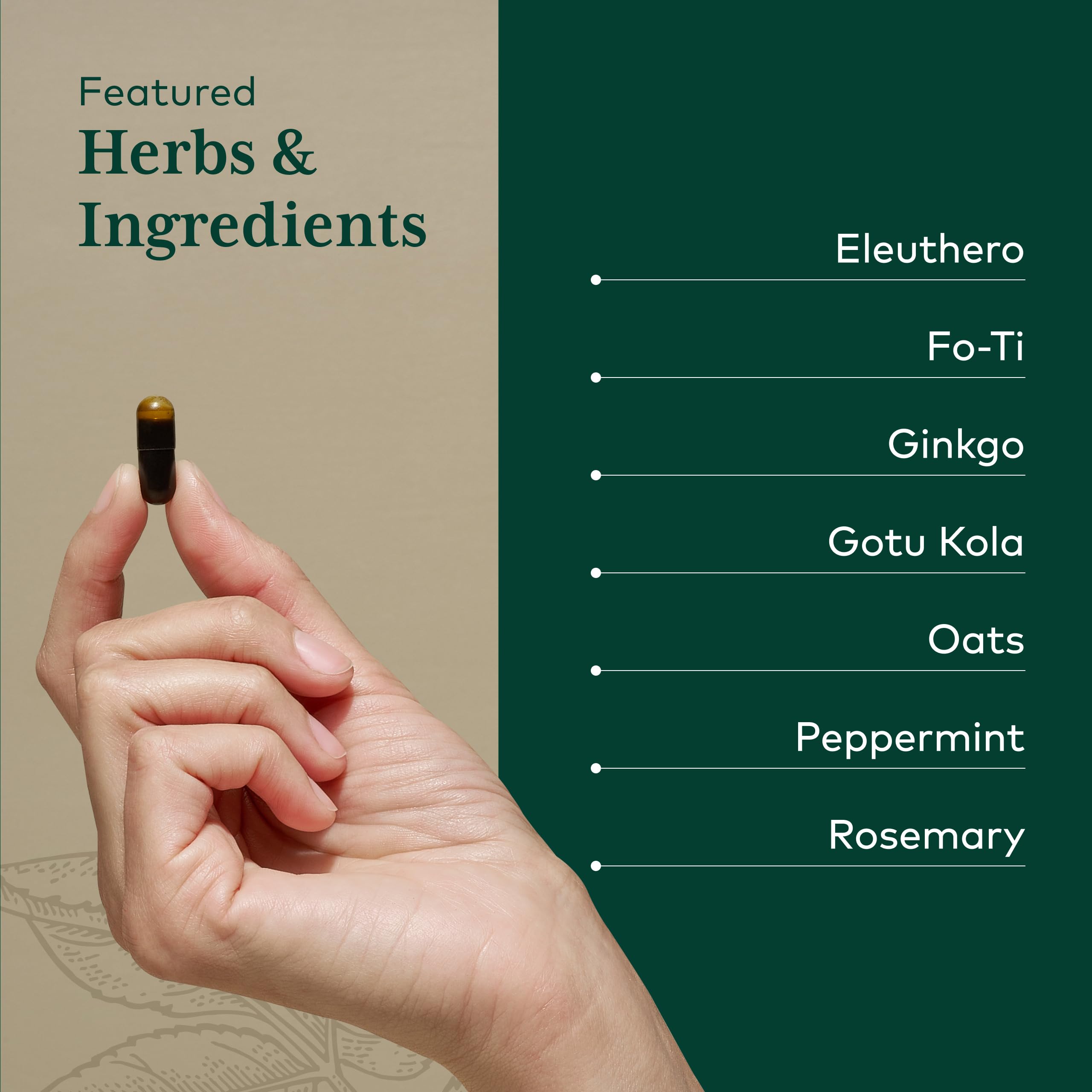 GAIA HERBS PRO Cognitive Formula - Brain Health & Blood Flow Support Supplement* - Circulation Support Supplement* with Fo-TI Root, Ginkgo Leaf, & Gotu Kola Leaf - 60 Liquid Phyto-Caps (30 Servings) - Image 4