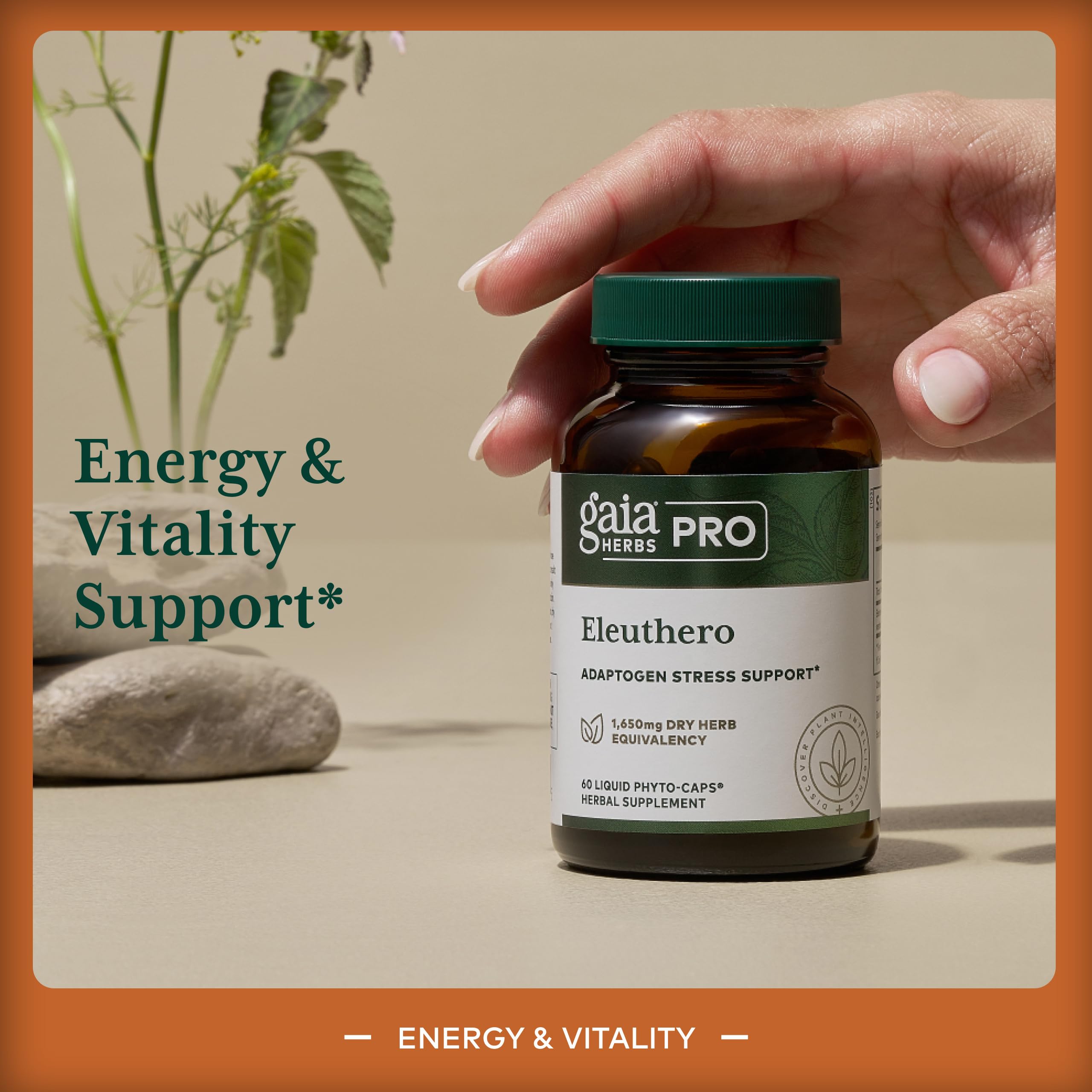 GAIA HERBS PRO Eleuthero - Adaptogen Supplement - Stress & Energy Support - 60 Vegan Liquid Phyto-Capsules (60 Servings) - Image 3