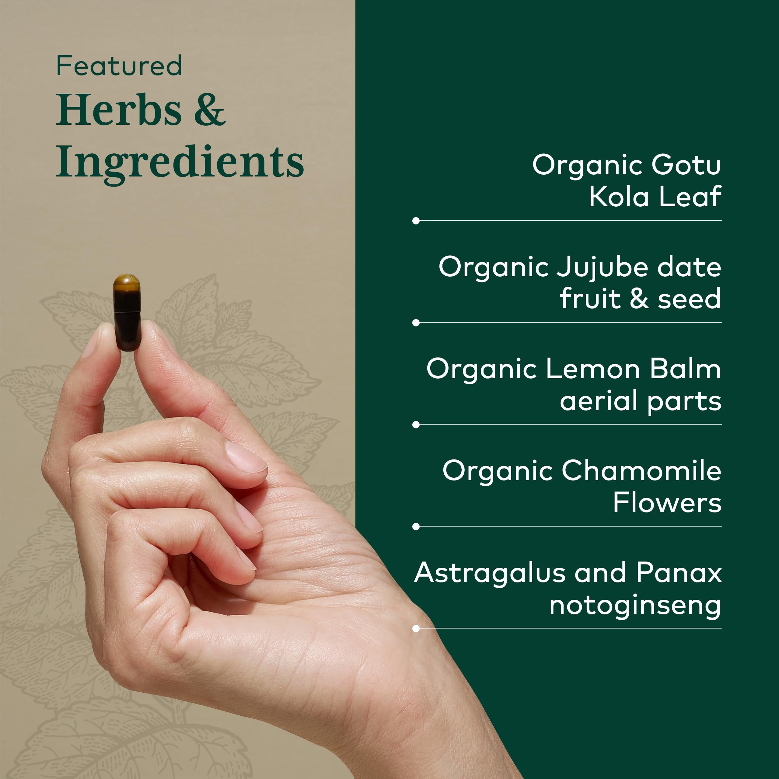 GAIA HERBS PRO EpiVital - Digestive Health Support - Contains Astragalus Root, Panax Notoginseng, Gotu Kola & More - 90 Vegan Liquid Phyto-Caps - Image 4