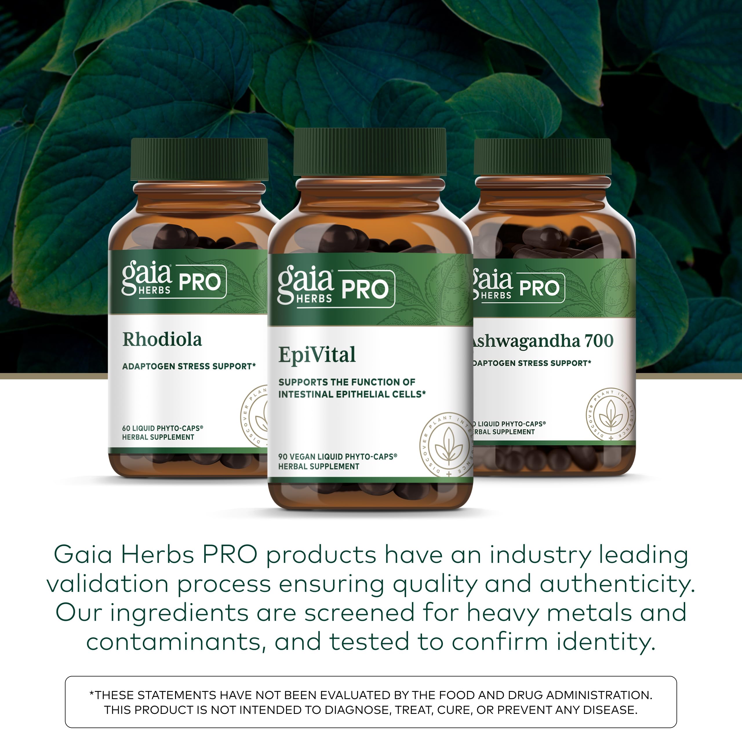 GAIA HERBS PRO EpiVital - Digestive Health Support - Contains Astragalus Root, Panax Notoginseng, Gotu Kola & More - 90 Vegan Liquid Phyto-Caps - Image 6
