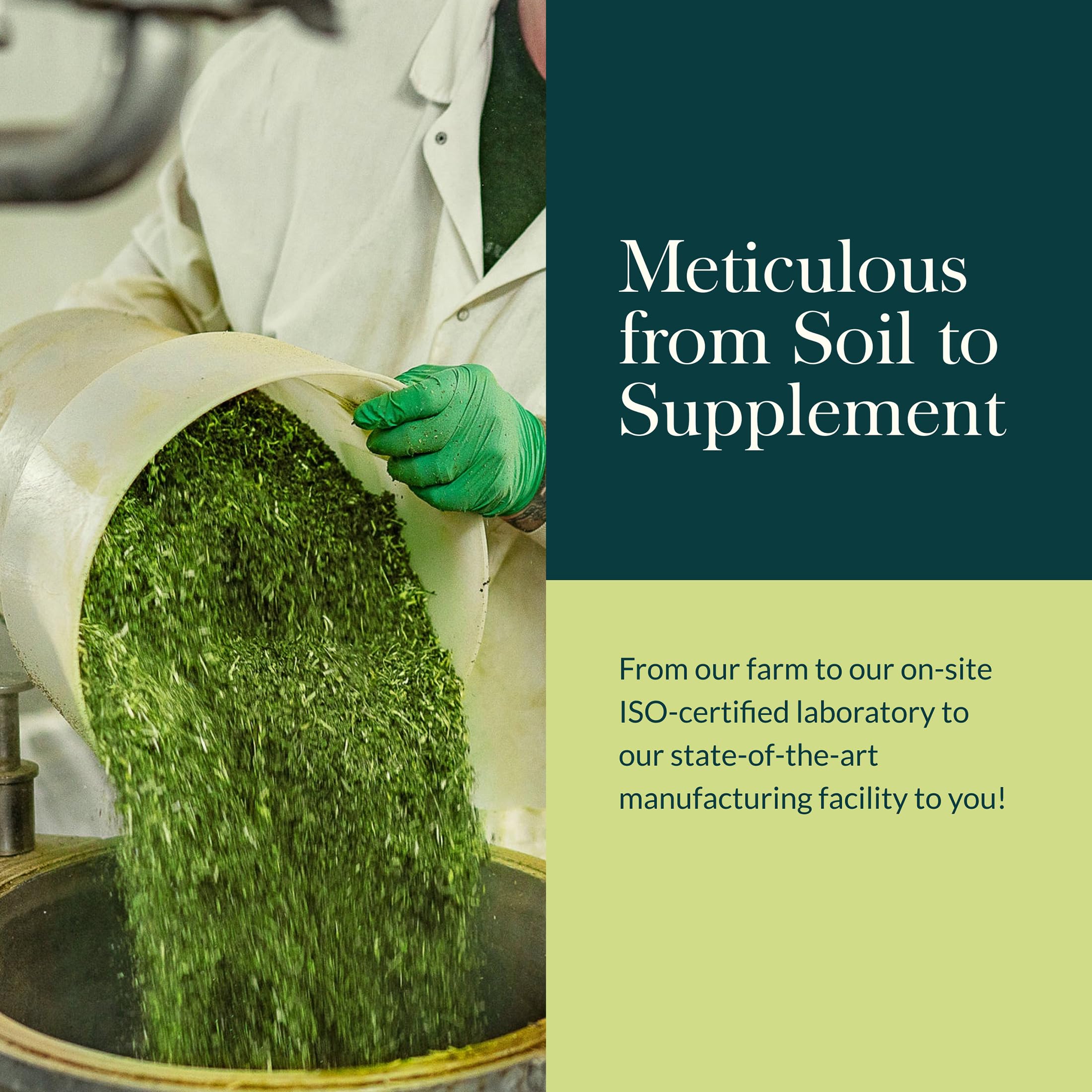 Gaia Herbs Mighty Lungs - Lung Support Supplement with Herbs Traditionally Used to Help Maintain Respiratory Health* - 60 Vegan Liquid Phyto-Caps (60 Servings) - Image 8