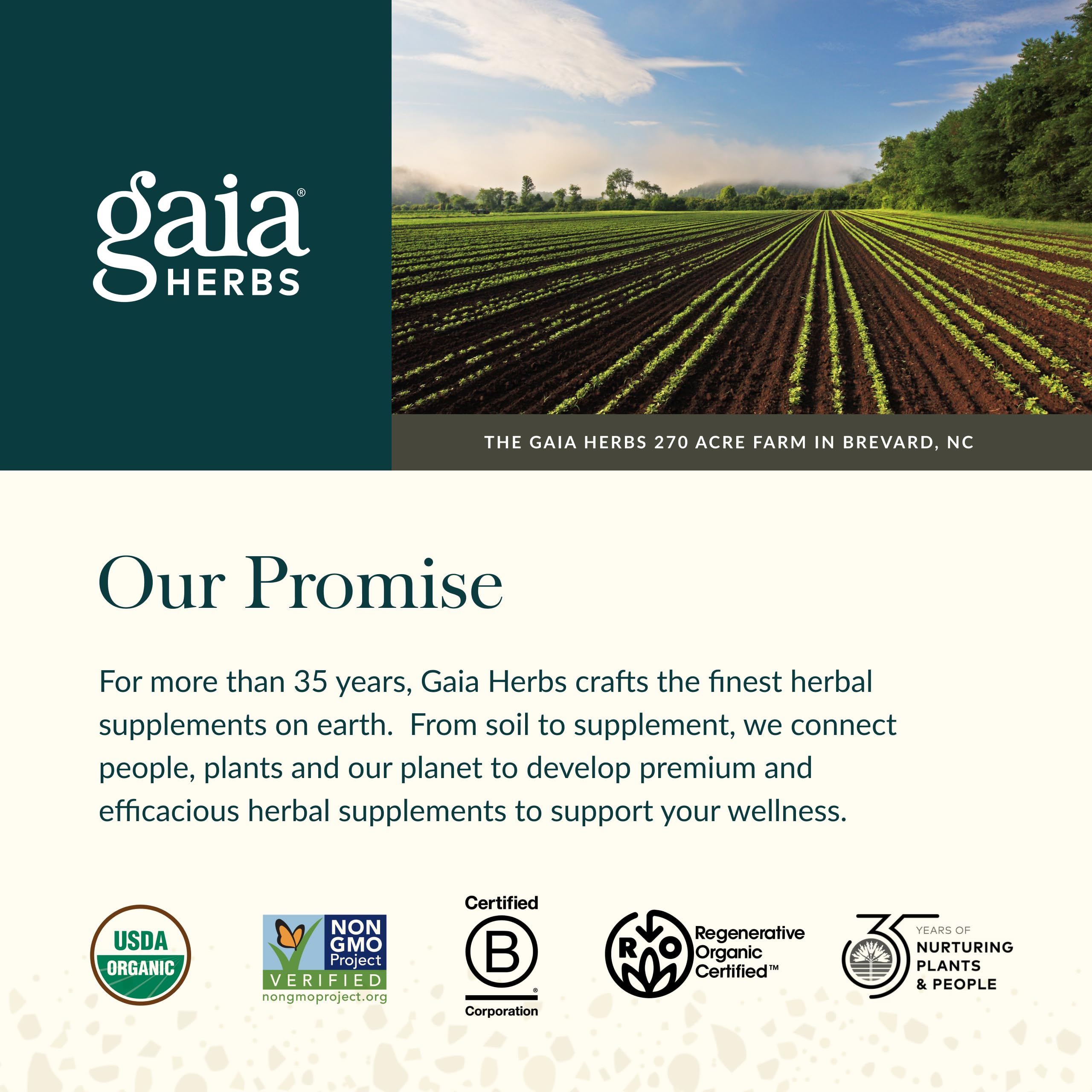 Gaia Herbs Rapid Defense Gummies - Supports Immune Health* - with Propolis, Ginger & Echinacea - USDA Organic - 60 Vegetarian Gummies (30 Servings) - Image 7